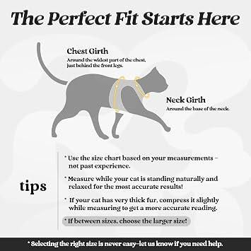 rabbitgoo Cat Harness and Leash Set for Walking Escape Proof, Adjustable Soft Kittens Vest with Reflective Strip for Cats, Comfortable Outdoor Vest, Black, S