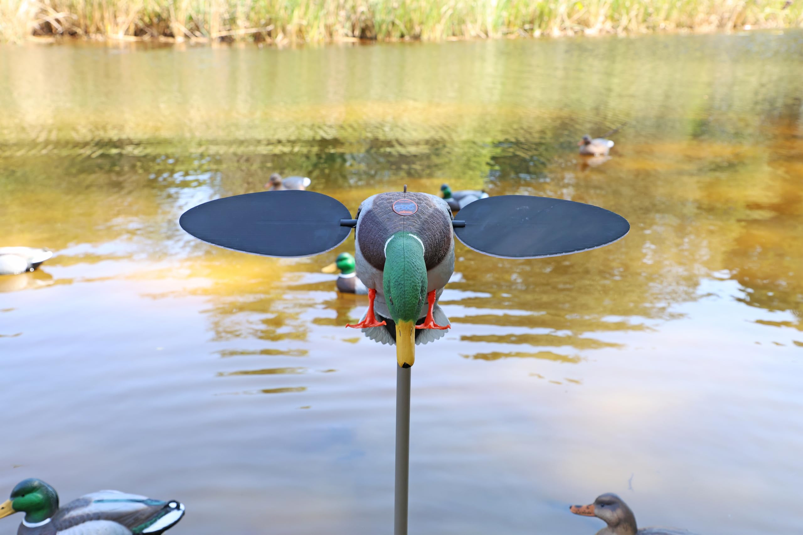 MOJO Outdoors Hw2025 Señuelo Plateado de Mallard, Unisex, Plata