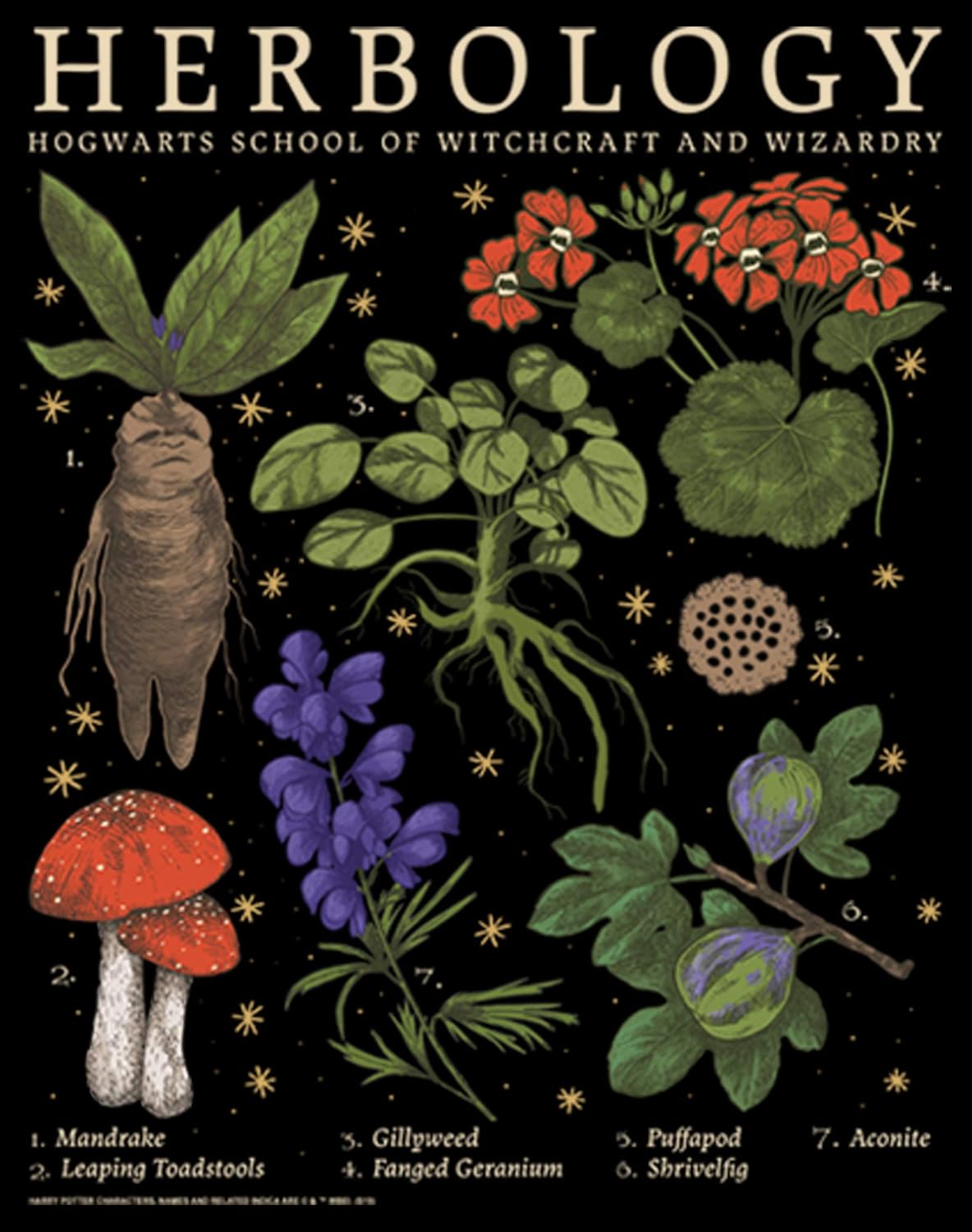 Fifth Sun Men's Harry Potter Hogwarts Herbology Pull Over Hoodie