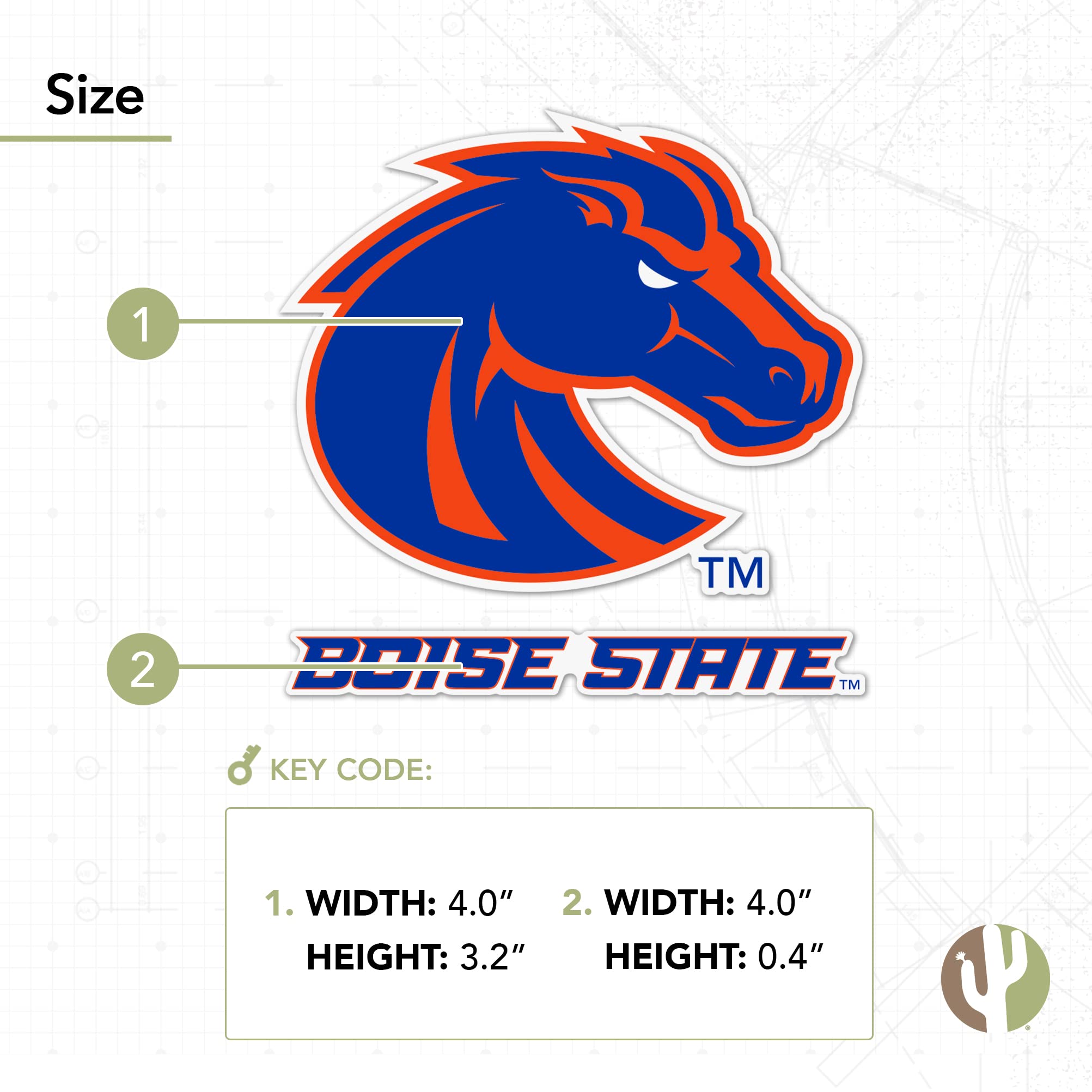 Amazon.com: Desert Cactus Boise State University BSU Broncos