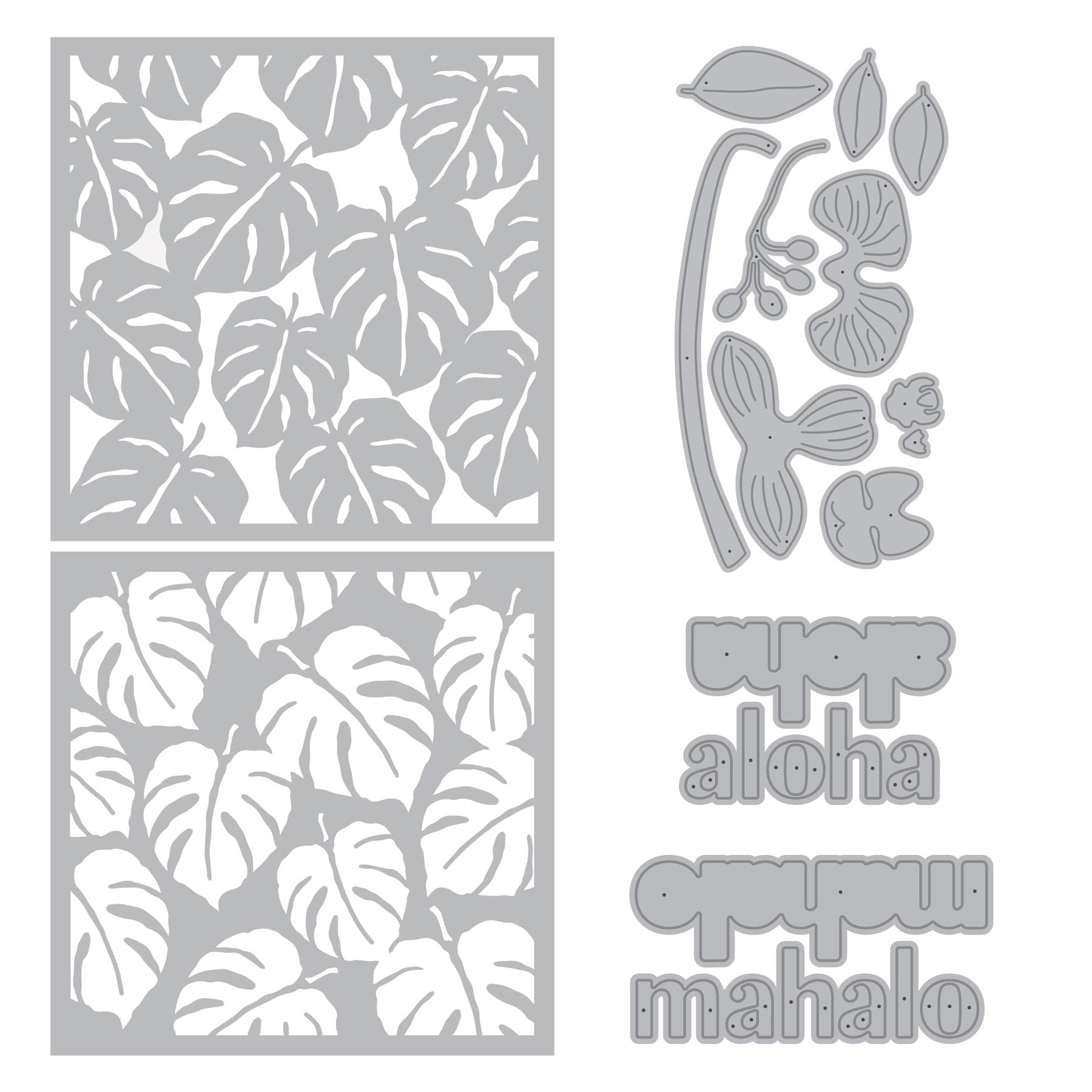 Amazon.com: Ellen Hutson, Essentials by Ellen, Island Greetings