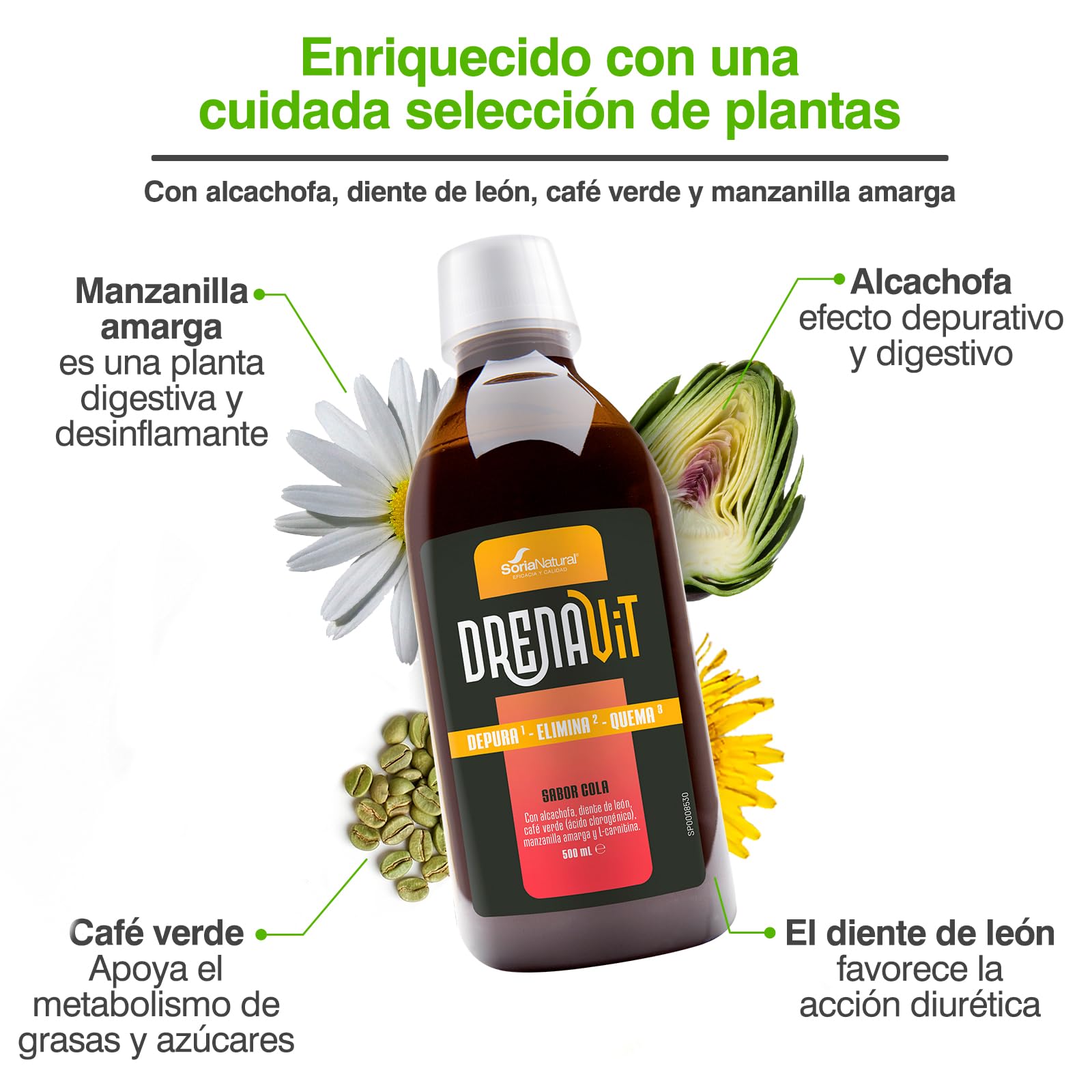 efectos de la l'carnitina con alcachofa Cardispan Sugar Free Tecnologa Micronitina 10,000 mg L-Carnitina: qu es, para qu