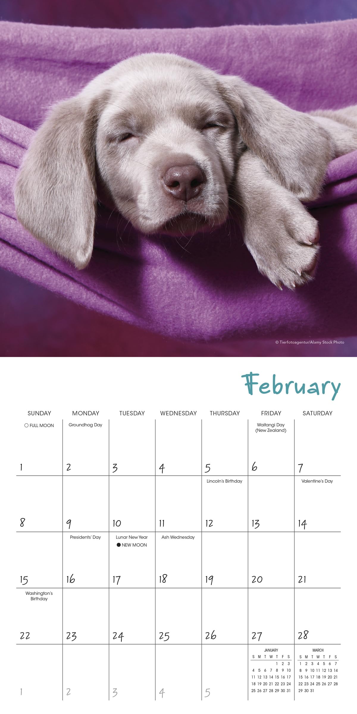 2026 Pooped Puppies Mini Calendar - Image 3