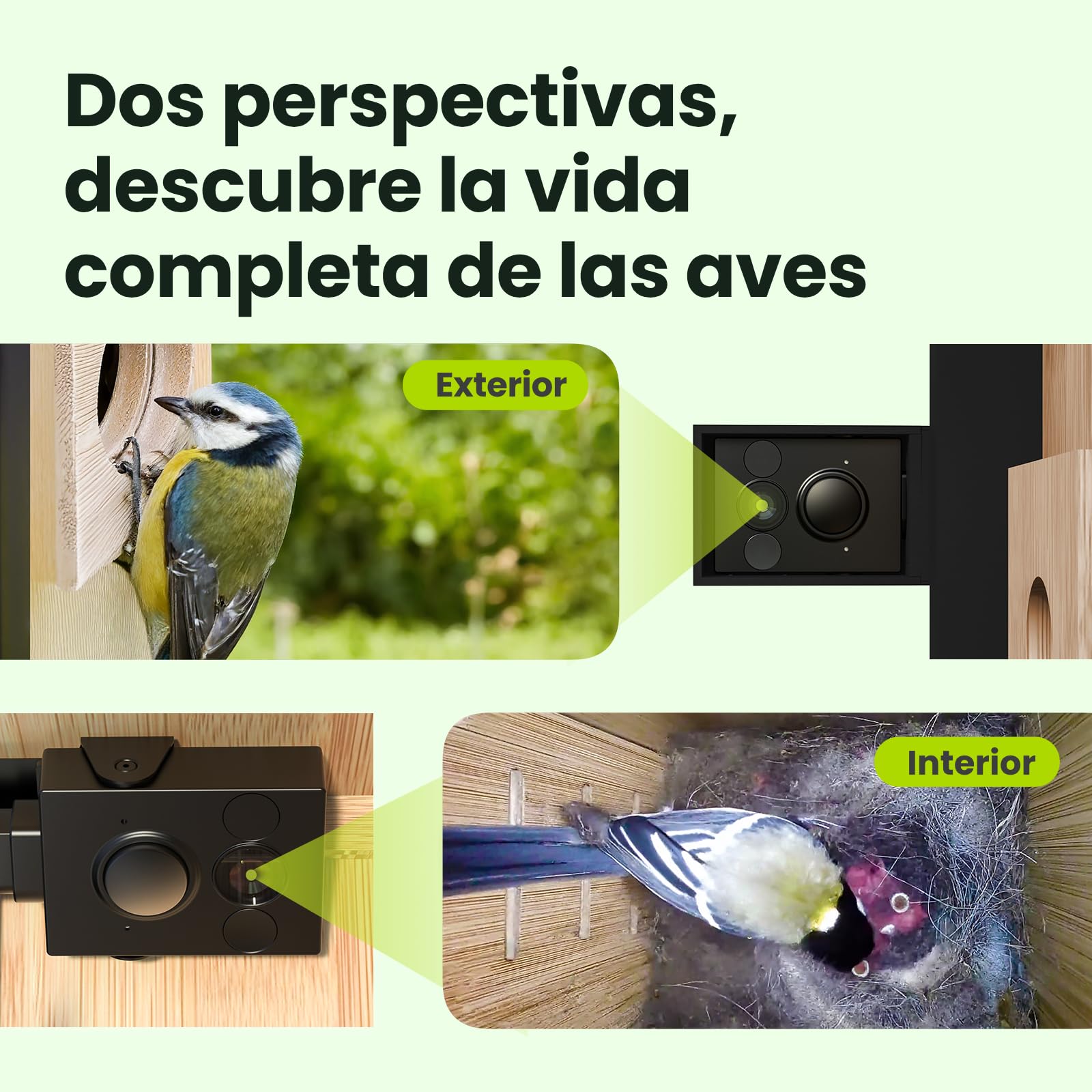 Birdfy Smart Casa para Pájaros con Doble Cámara 1080P, Nido de Bambú con Cámara y Visión Nocturna, Observación en Vivo, IA Análisis de Comportamiento, Notificaciones, Grabaciones Automáticas