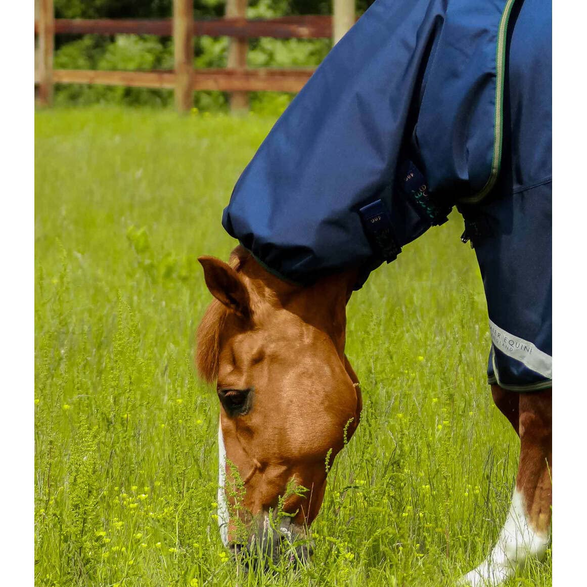 Coperta per cavalli da esterno con copricollo Premier Equine Titan 40 g