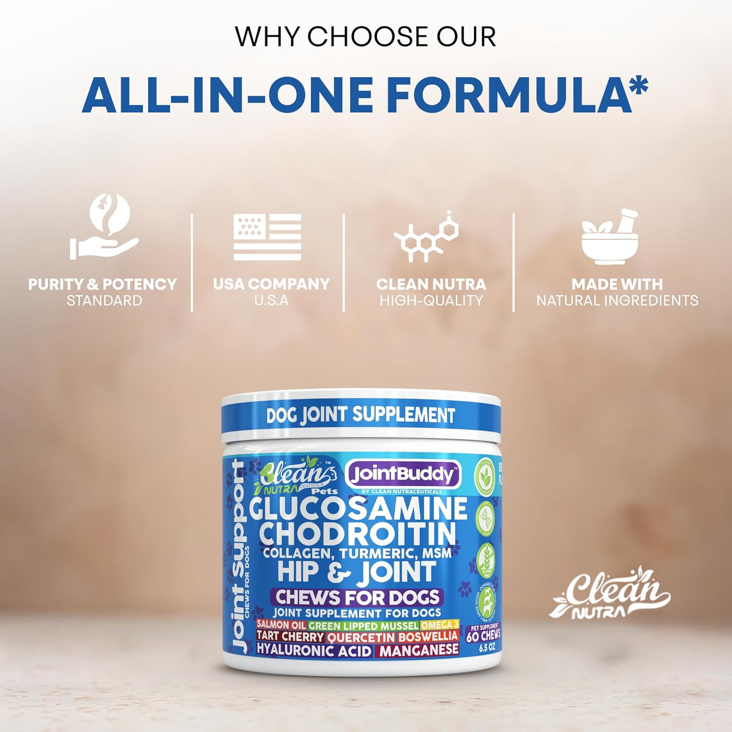 JointBuddy Glucosamine Chondroitin Joint Supplement for Dogs Salmon Oil MSM Tart Cherry Omega 3 6 9 Fish Oil Hyaluronic Acid Supplements & Collagen for Dogs 60 Chews Beef Flavor by Clean Nutra Pets