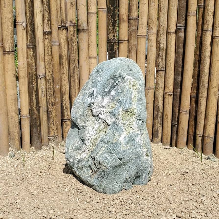 Amazon.co.jp: 青石 庭石 1石【4】庭石 庭石・青石の事なら