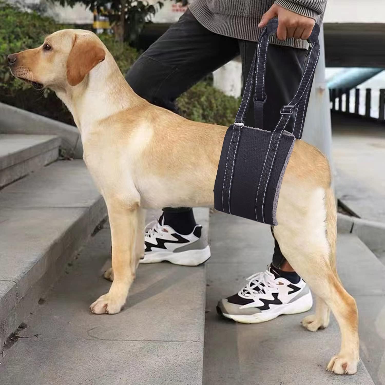 Buy Eageus Dog Sling for Rear Legs, Hip Support Harness for Large Dogs