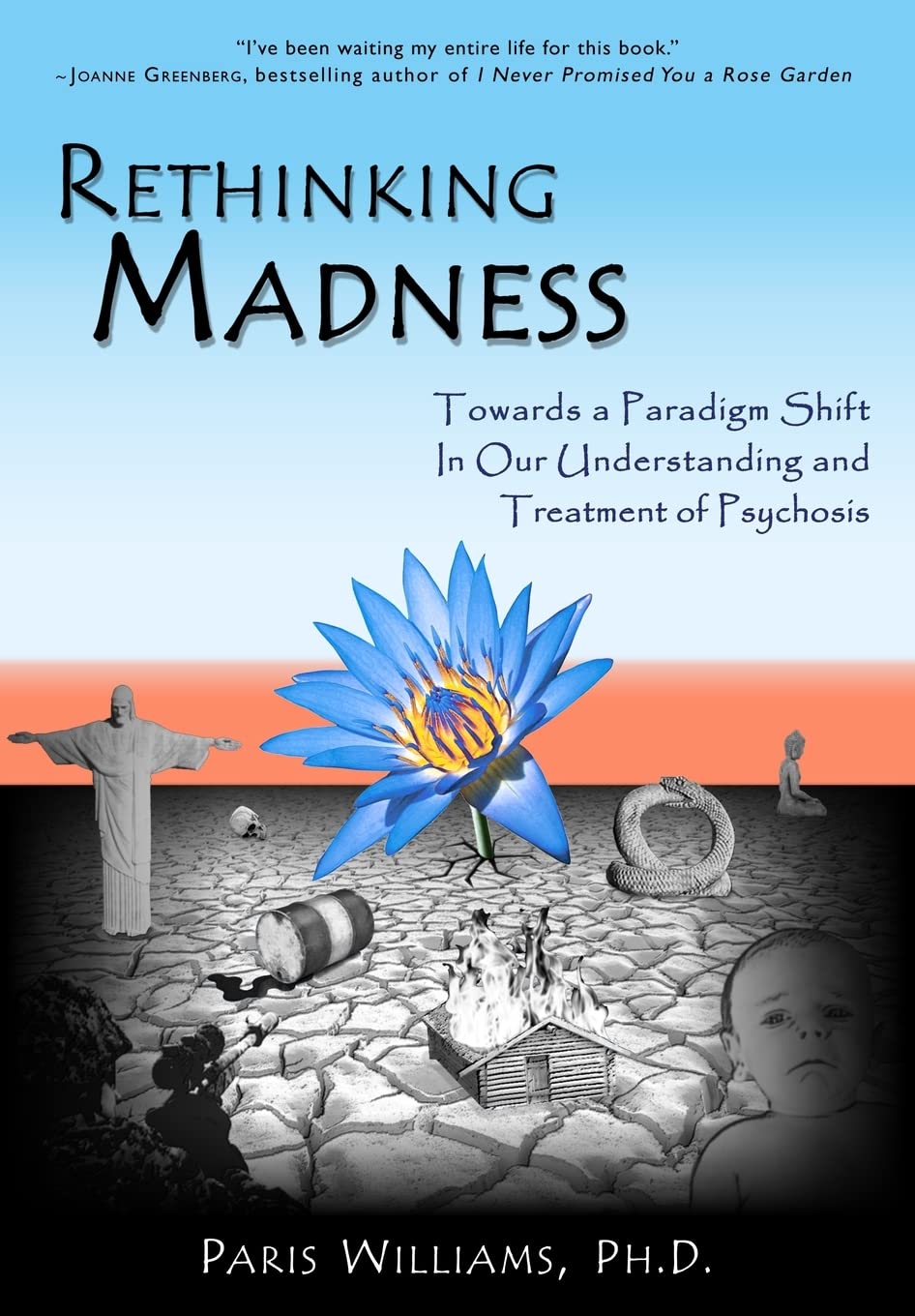 Rethinking Madness: Towards a Paradigm Shift in Our Understanding and Treatment of Psychosis cover