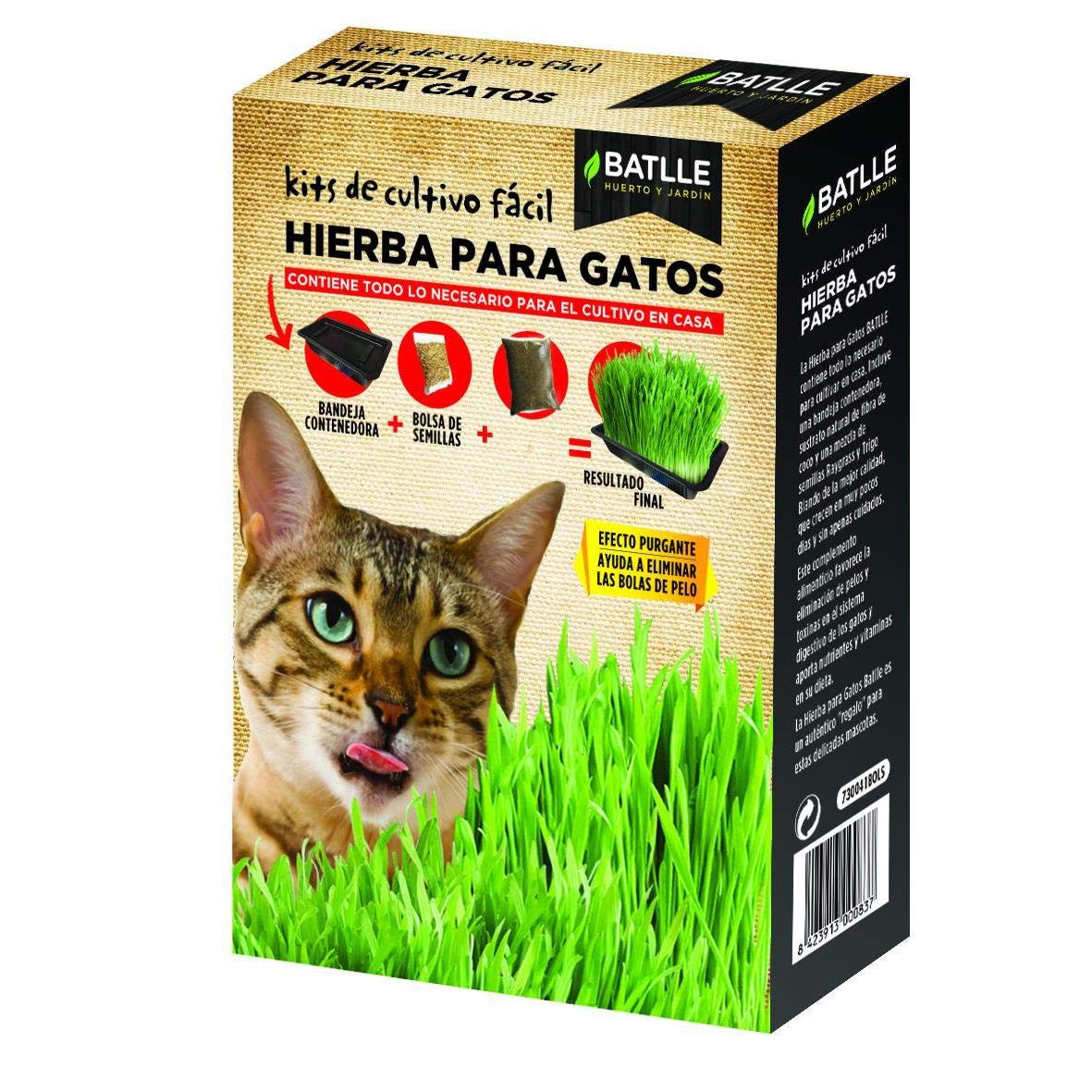 Semillas Amomáticas - Hierba para Gatos - Batlle
