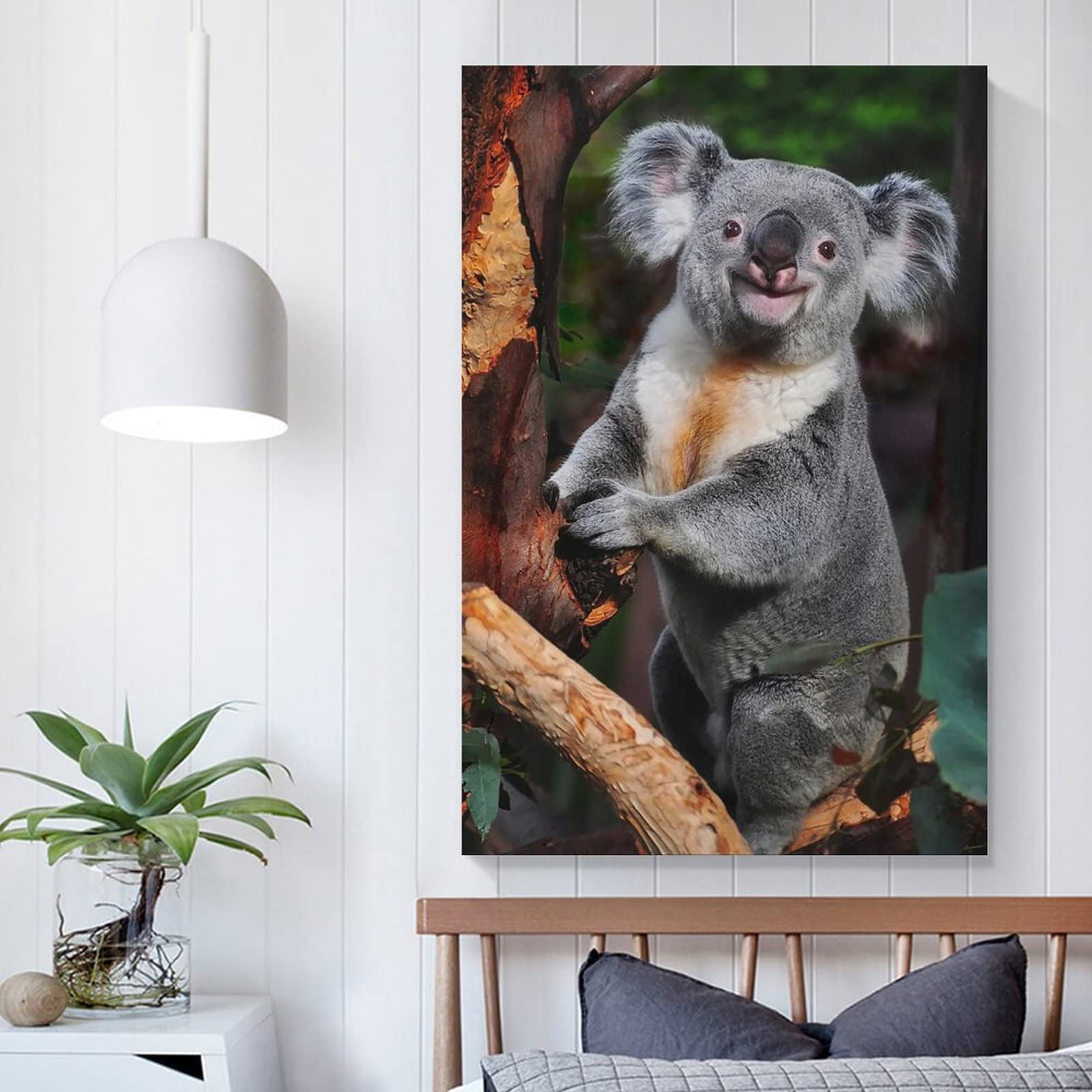 TTYQ Poster Koala Bear Rare Animals Wild Animals Posters Wall Art