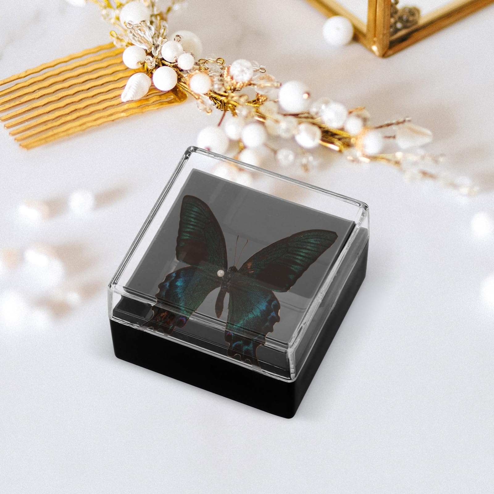 CIMAXIC 4sets Sturdy Acrylic Specimen Container Compact Display Box for Minerals for Sample Storage at Home 6pcs*4