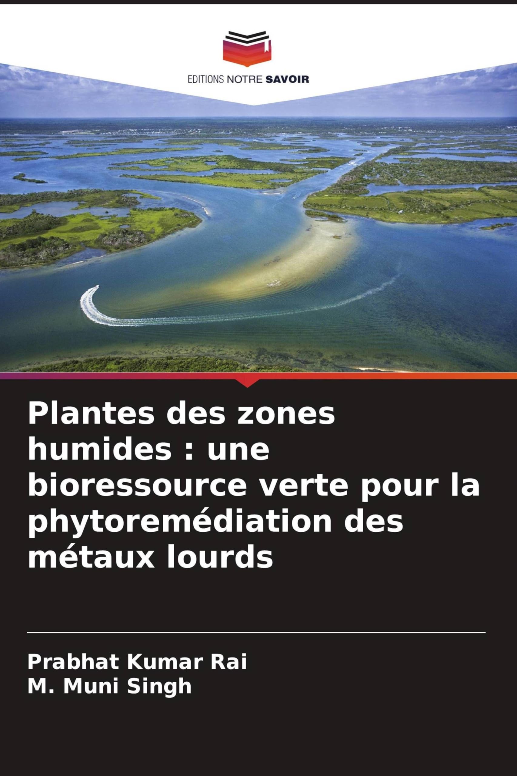 Plantes des zones humides: une bioressource verte pour la phytoremédiation des métaux lourds