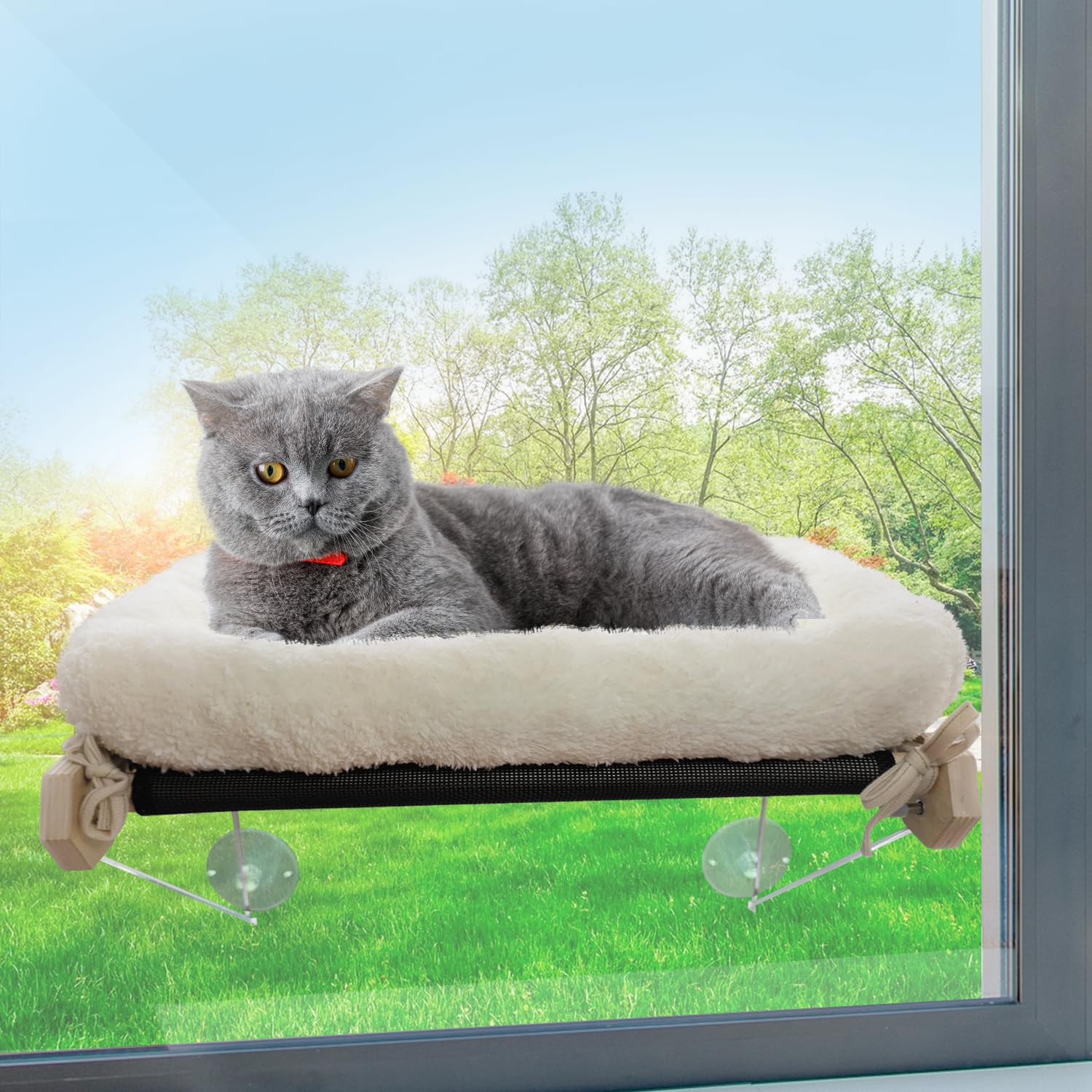 Hamaca Gato Ventana con Cama - Cama Ventana para Gatos - Hamaca para Gatos - Hamaca Gato Ventana - Gatos Accesorios - 20kg