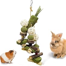 Bunny Chew Treats Toy for Teeth, 2PCS Rabbit Cage Hanging Chew Toys and Rattan Ring with Snack,Natural Material Chinchilla Treats Toys for Guinea Pig Gerbils Hamster Rat Teeth Grinding