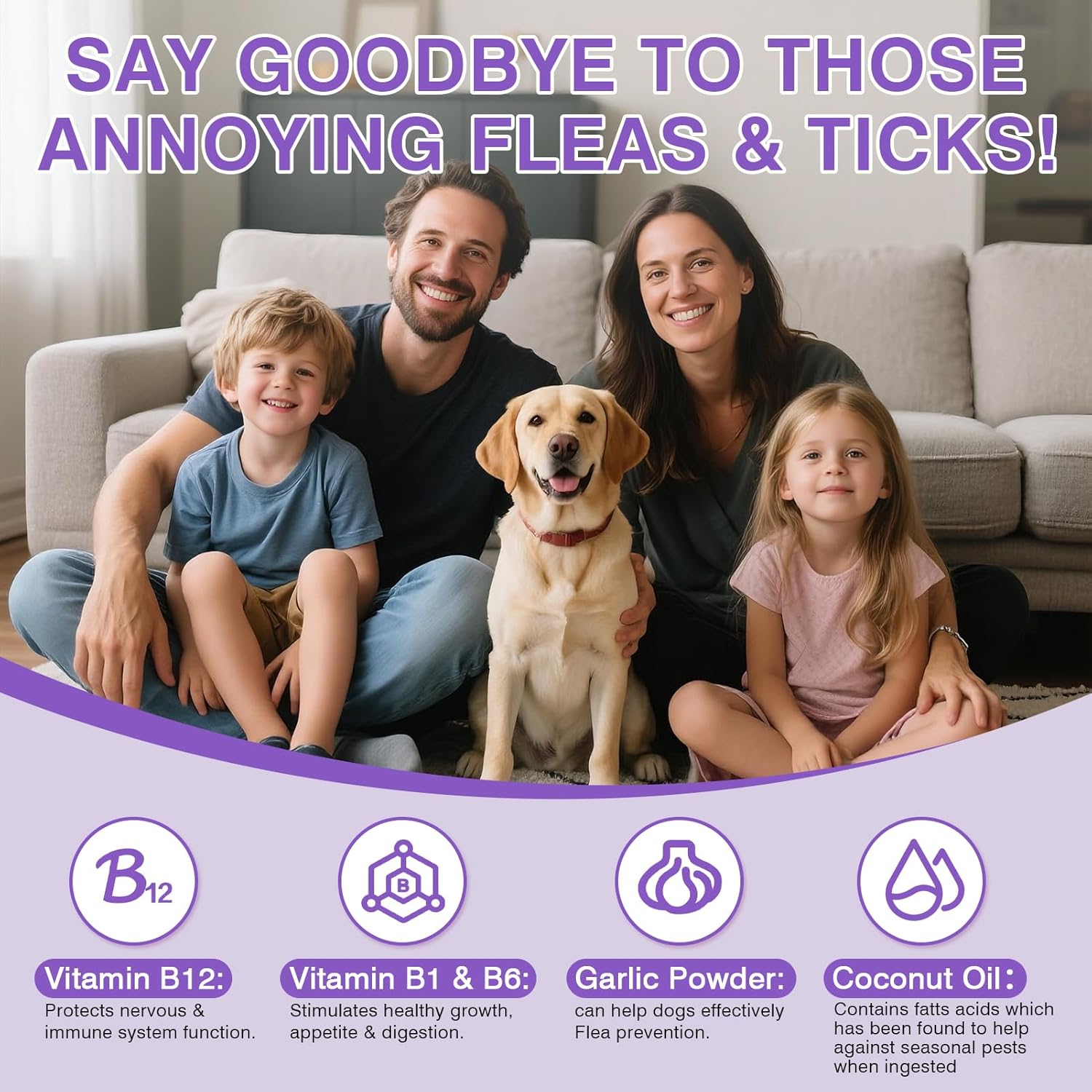 Dog Flea and Tick Chewable 200 Count Soft Chews Chicken Flavor Dog Flea Chewable Supports Skin Comfort and Daily Wellness for Dogs During Seasonal Changes Flea Chews for Dogs