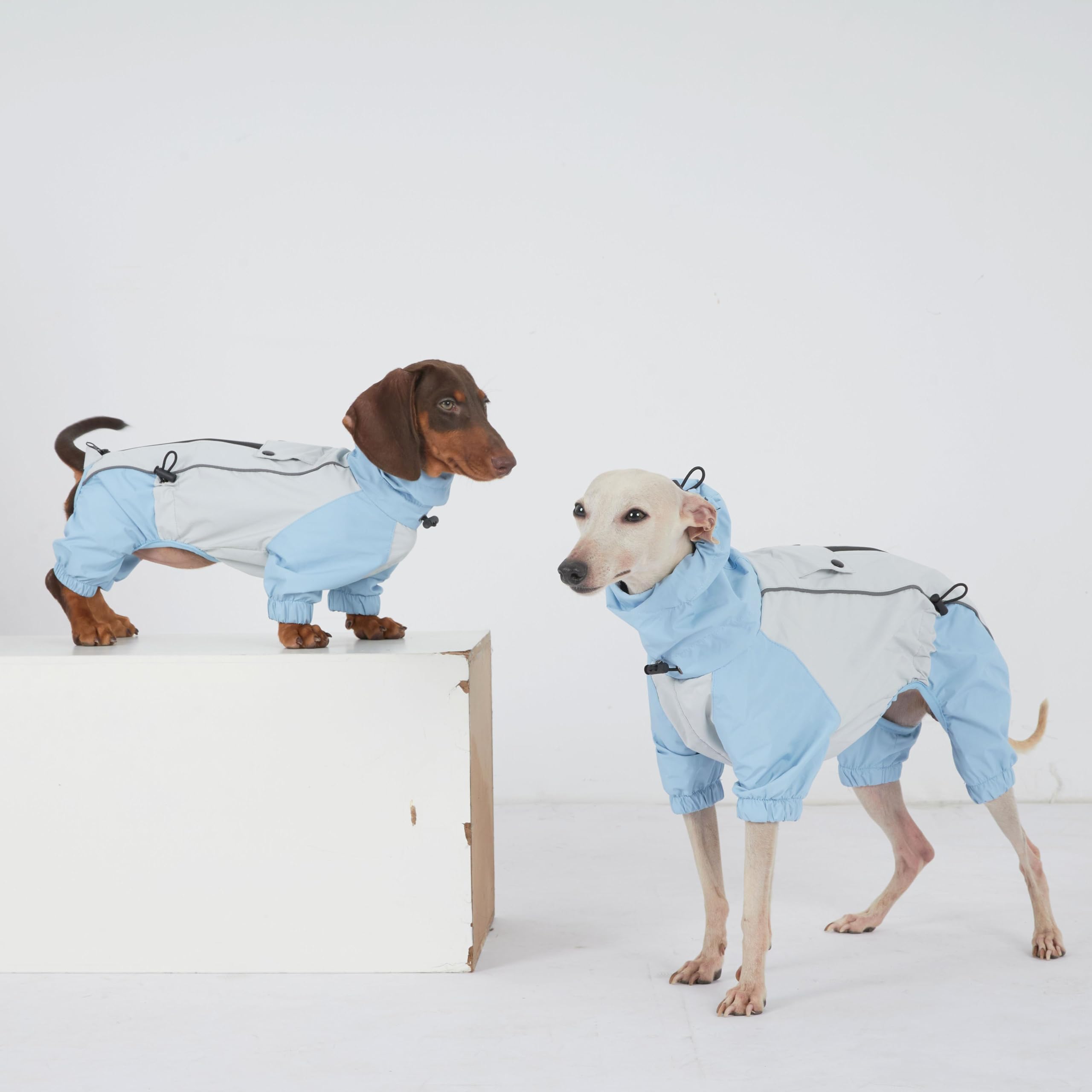 Dackel Regenmantel, wasserdichte 4-Bein Hundejacke, Leichter Outdoor Windbreaker für Mini Dackel(S(4-6kg)