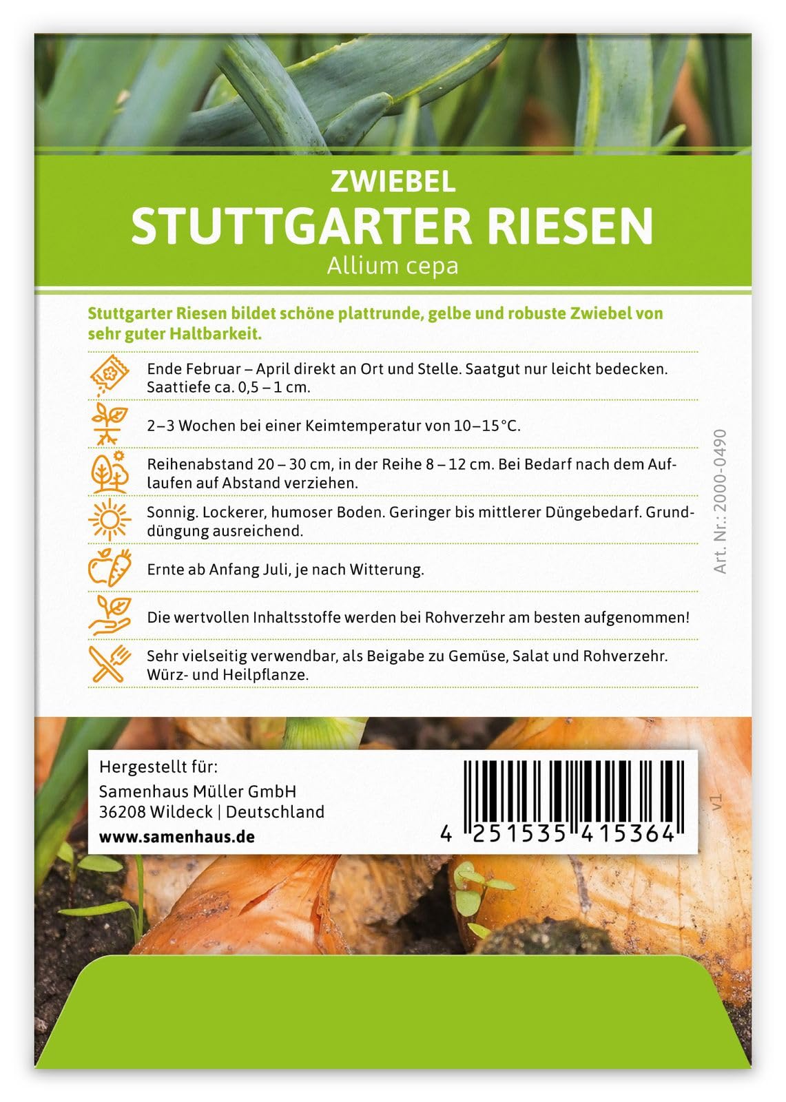 FLORTUS 2000-0490-100x Zwiebel Stuttgarter Riesen (100 Stück) (Zwiebelsamen)
