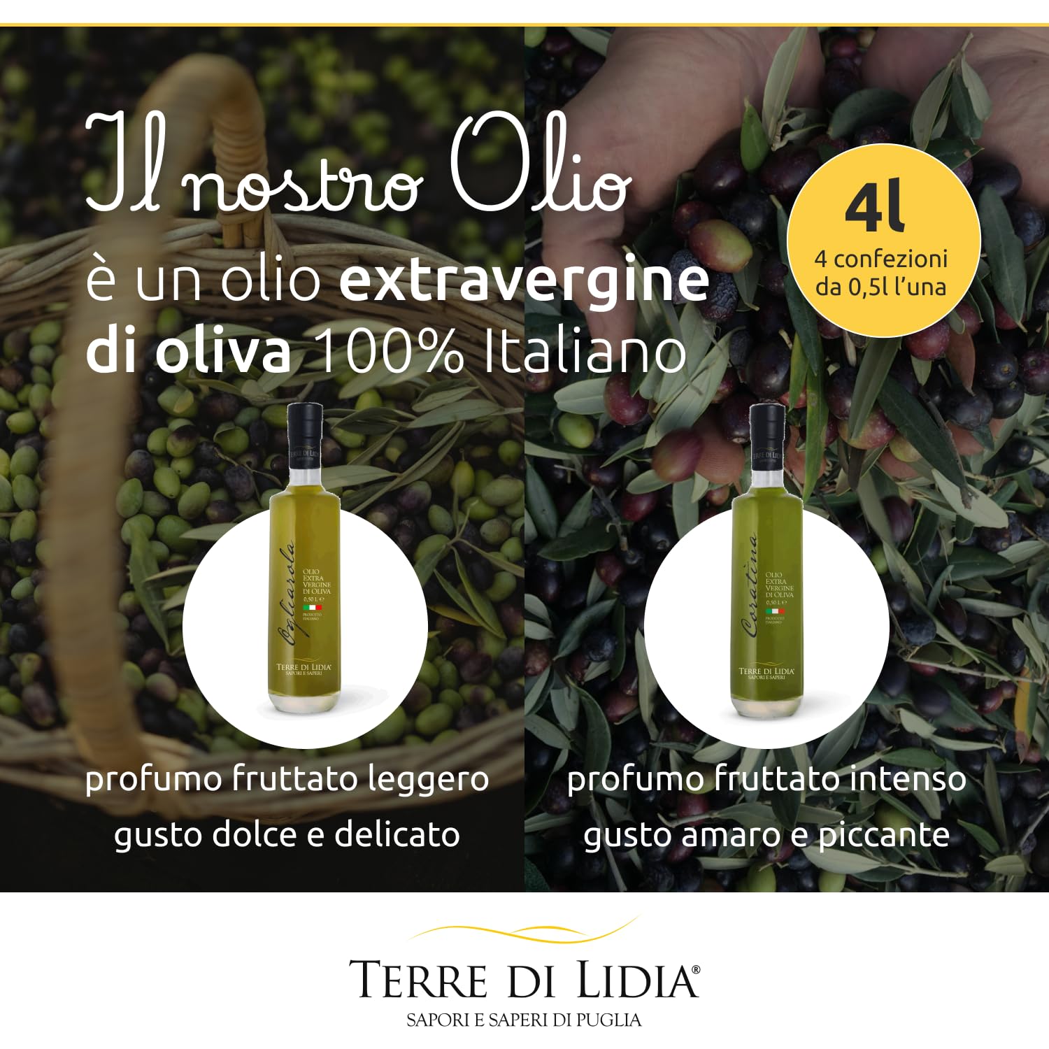 Terre di Lidia - Olio extravergine di oliva - 4 bottiglie in vetro da 0,50L (2L), 2 Varietà Coratina, Gusto Intenso + 2 Varietà Ogliarola, Gusto Delicato - 100% Italiano - Campagna 25/26