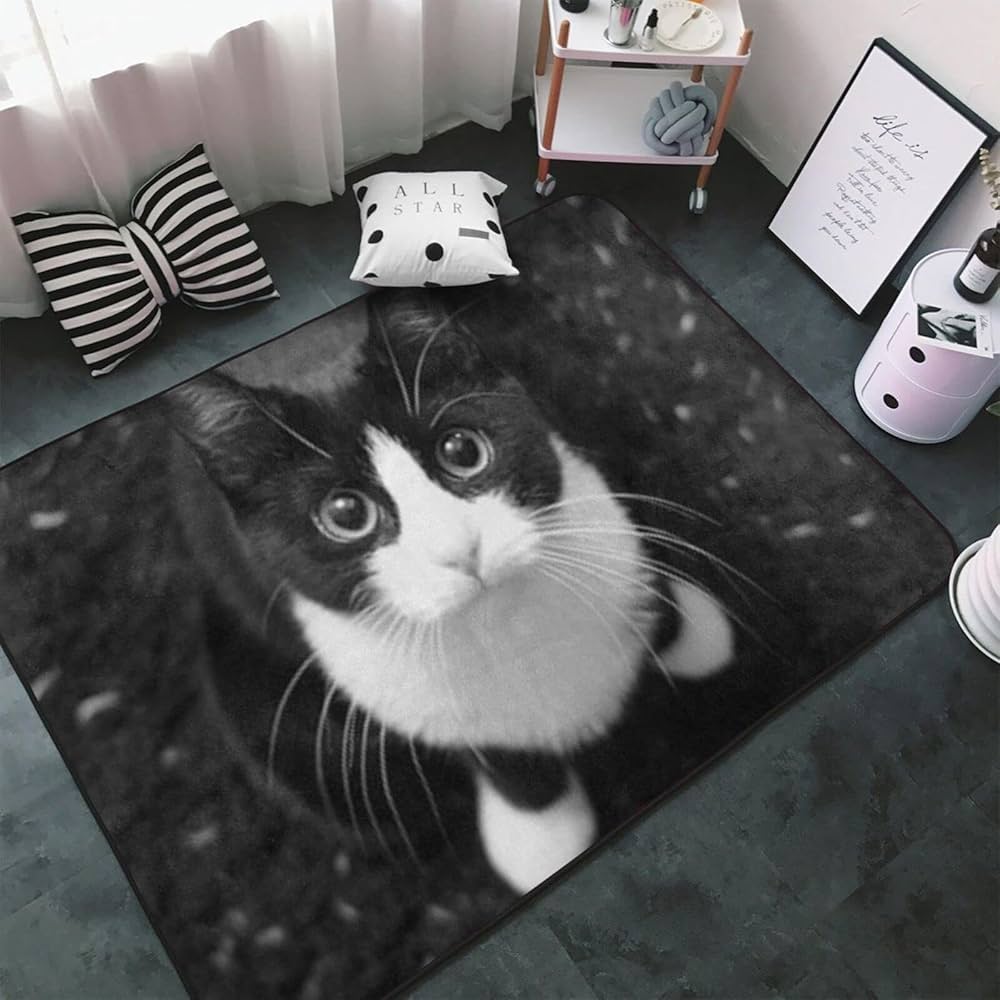 Amazon | かわいい猫柄 カーペット 長方形 ラグマット ラグ 絨毯