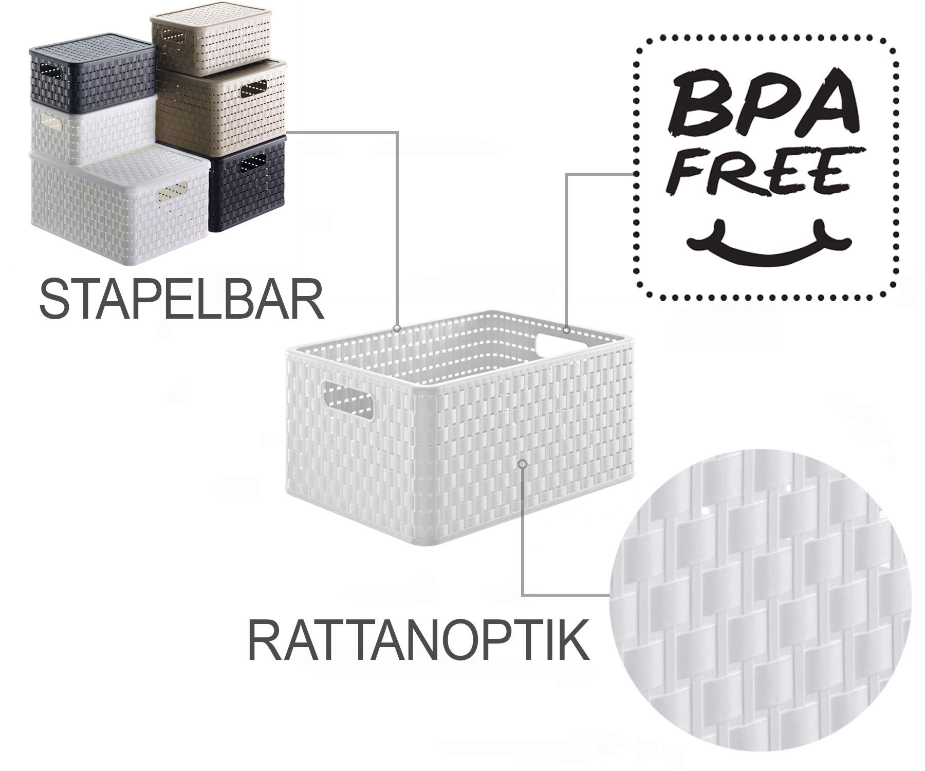 Rotho Country Scatola di Conservazione in Rattan-Look, Plastica (PP) senza BPA, Bianco, A4/18 L, 36.8 x 27.8 x 19.1 cm