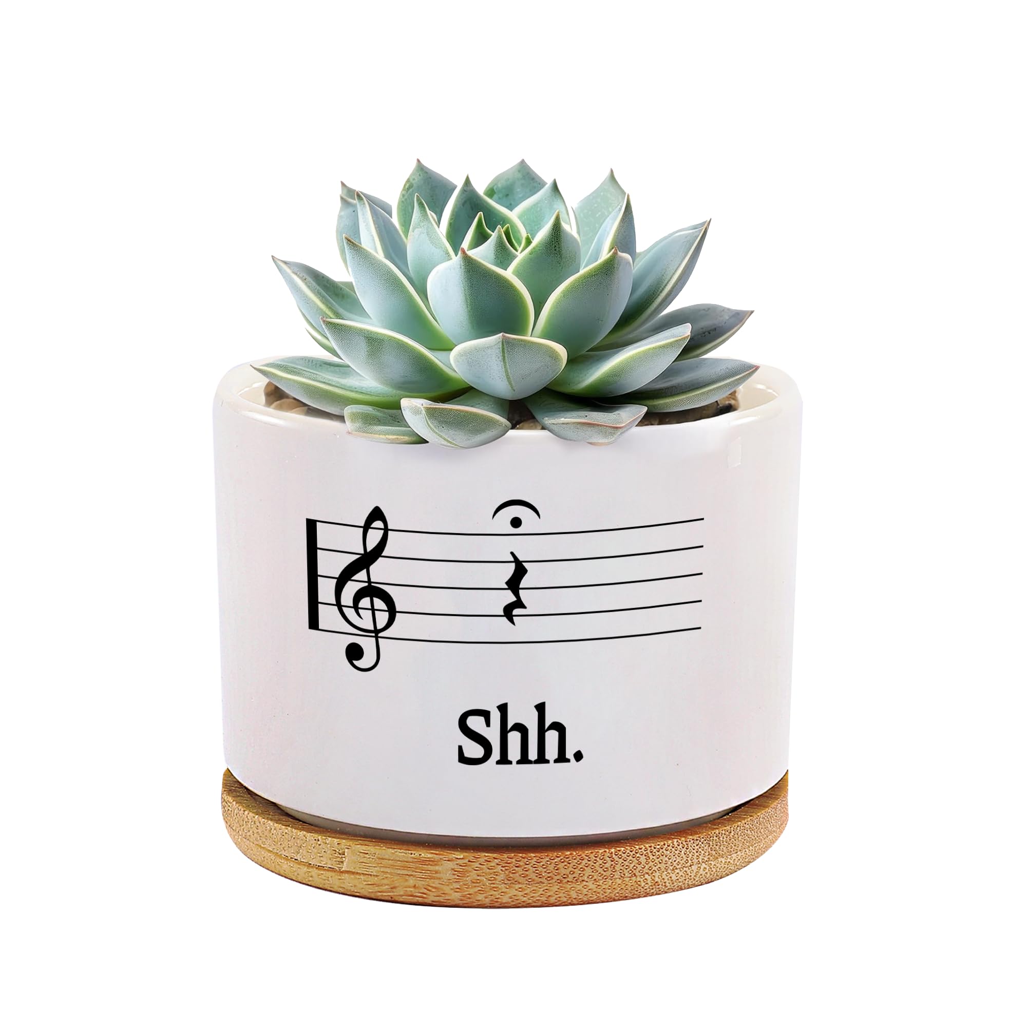 Cadeau professeur de musique : pot de fleurs pianiste et chef de chœur en céramique design