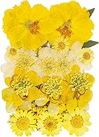 Tiggell Natural Dried Pressed Flowers Multi-Color Mix: Mini Roses, Hydrangeas, Daisies for DIY Crafts, Resin Art, Nail Decor (38pcs Yellow)