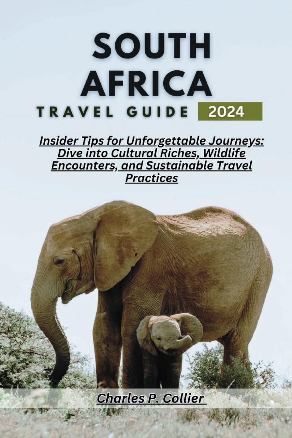 South Africa Travel Guide 2024: Insider Tips for Unforgettable Journeys: Dive into Cultural Riches, Wildlife Encounters, and Sustainable Travel Practices (Wanderwise Explorations)