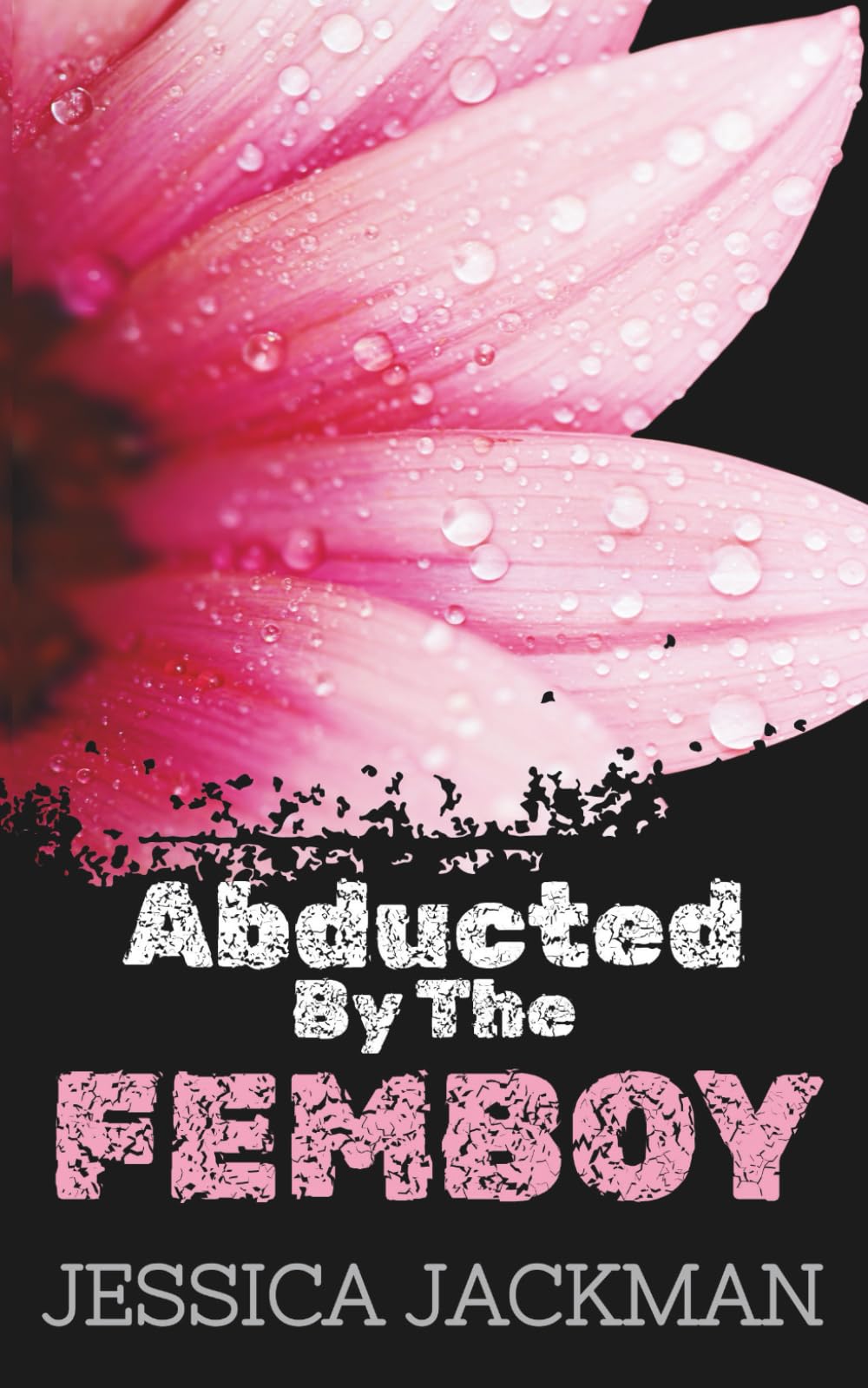 Abducted By The Femboy: A Dark MM Captive and Captor Romance (My Mobster)