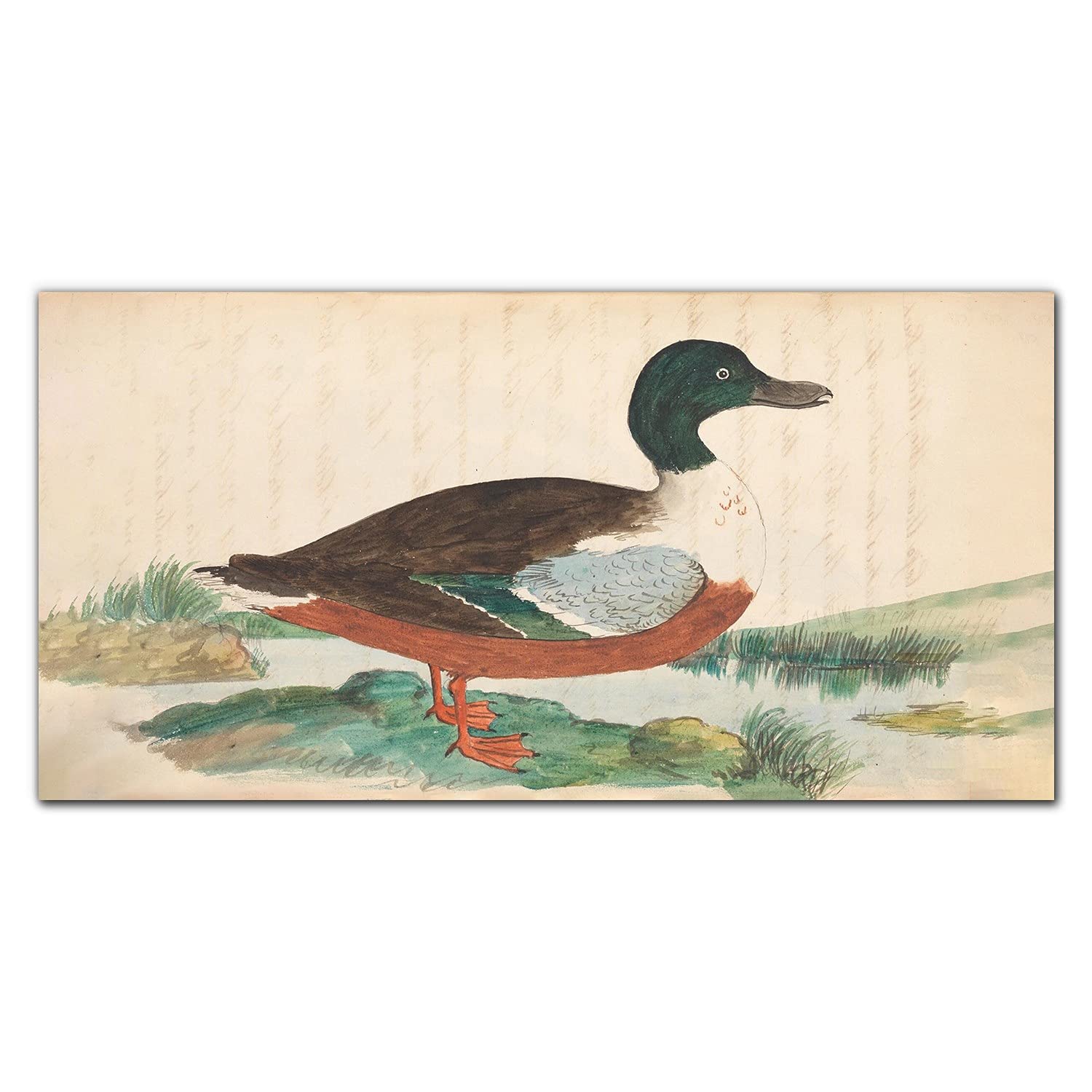 Dosseret en verre trempé adhésif 100x50cm Coloray pour protéger et décorer votre cuisine