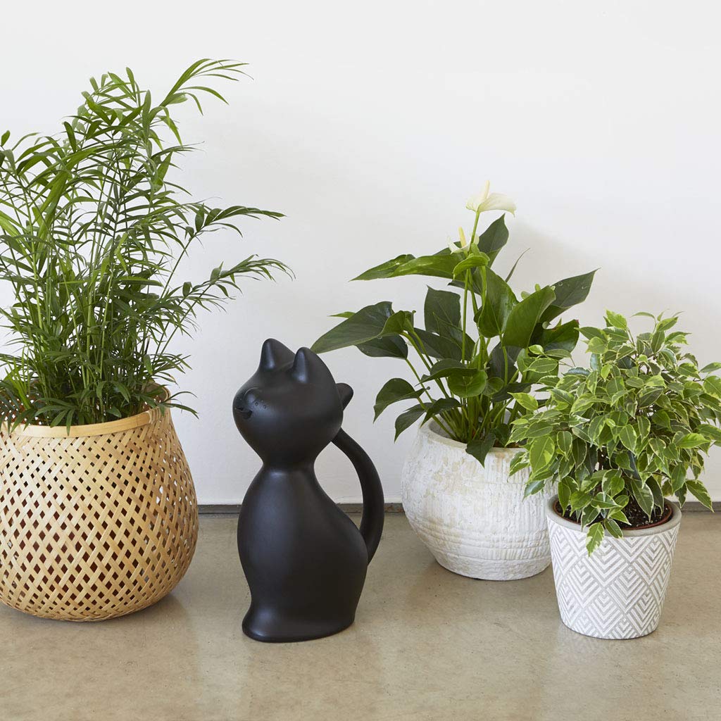 Balvi Konewka Meow Kolor Czarny W Kształcie Kota Pojemność: 2L Plastik 30 cm