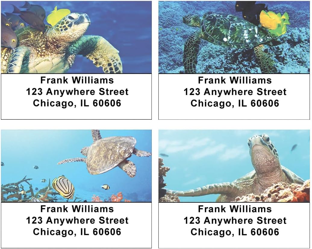 Sea Turtles Address Labels
