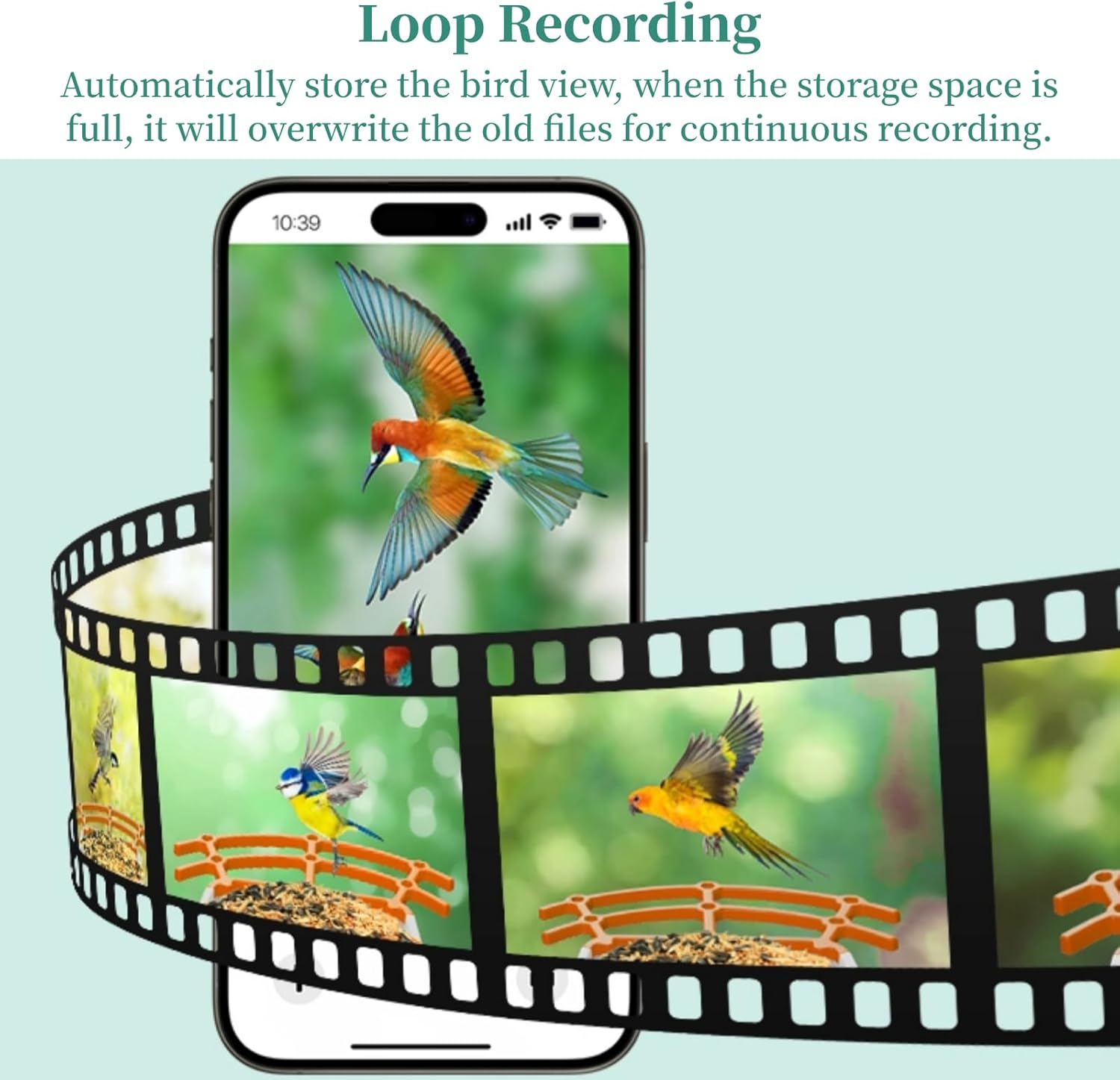 Bird Feeder Camera, 1080P HD 160° Wide Angle Cam, Over 10000 Birds Identify, Loop Recording Outdoor Solar Powered Camera, Gift for Bird Lover