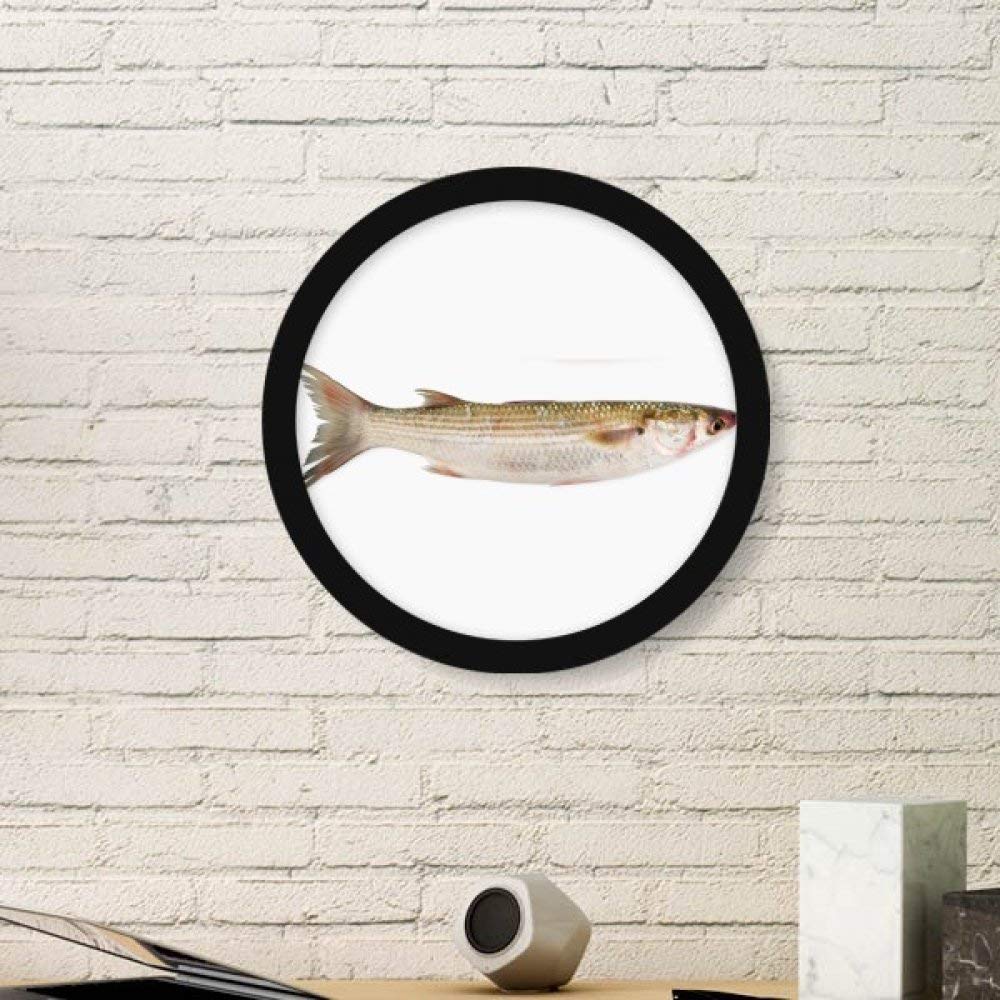 Cadre photo poisson de mer rond noir large pour décoration murale de maison