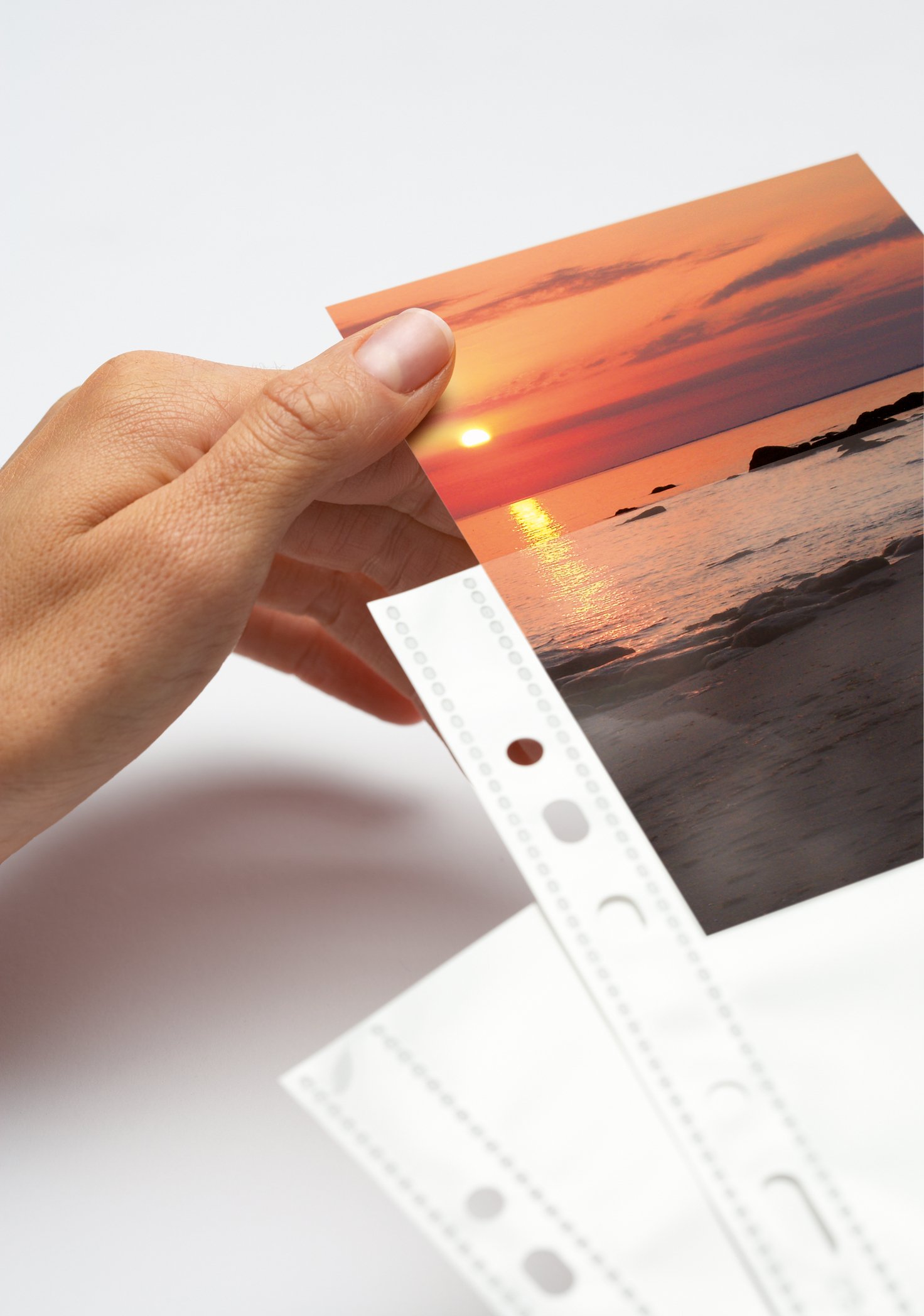 Archiviazione, raccolta, foto, foglio di inserti, fogli inserto, tasca per tasche album fotografico, presentazione, perforata, 7562, 10x15, 10 15, 250, custodie immagini,
