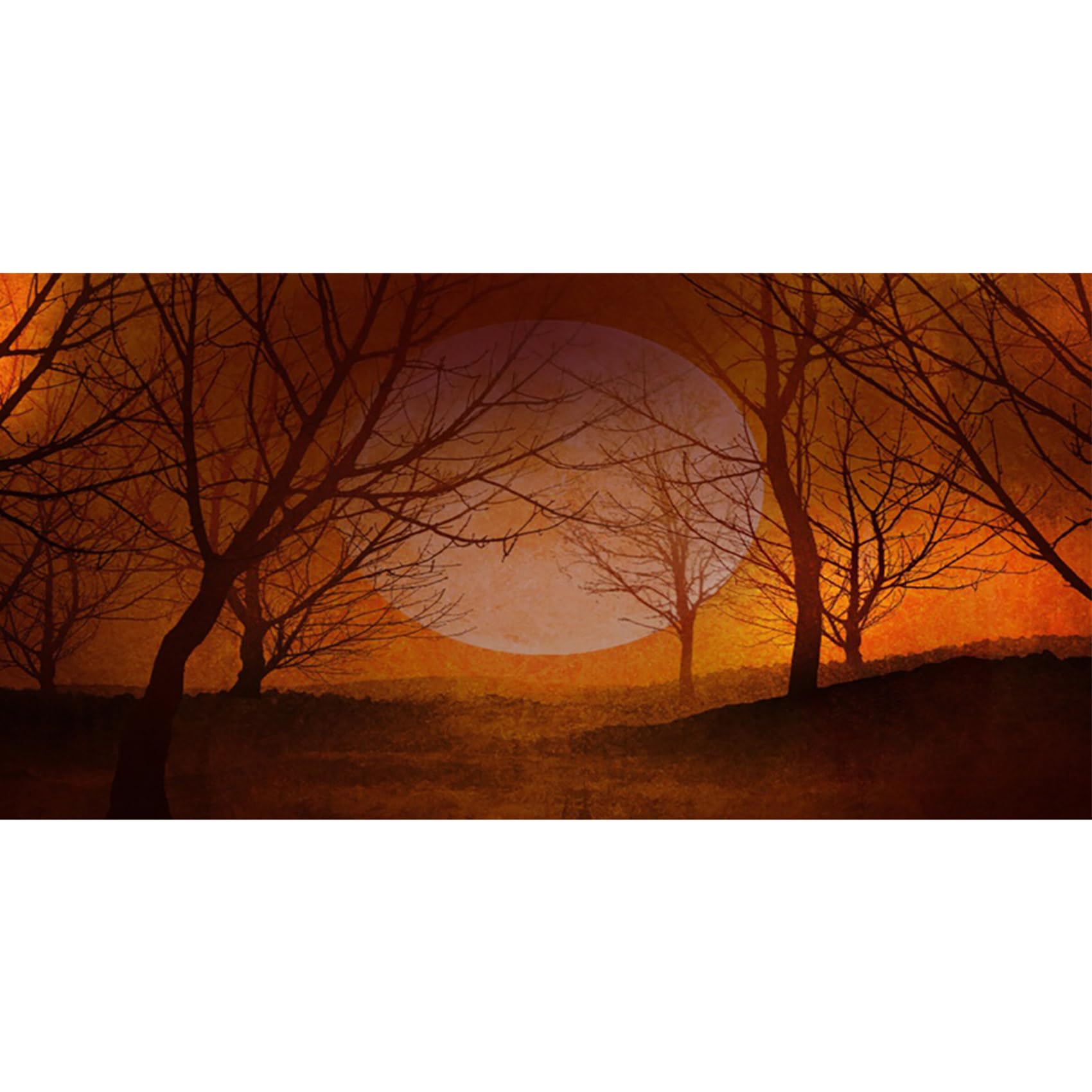 MIRRORANG 91x41cm Orange Spooky Aquarium Background Full Moon Trees Branches Scary Night Vinyl Fish Tank Background