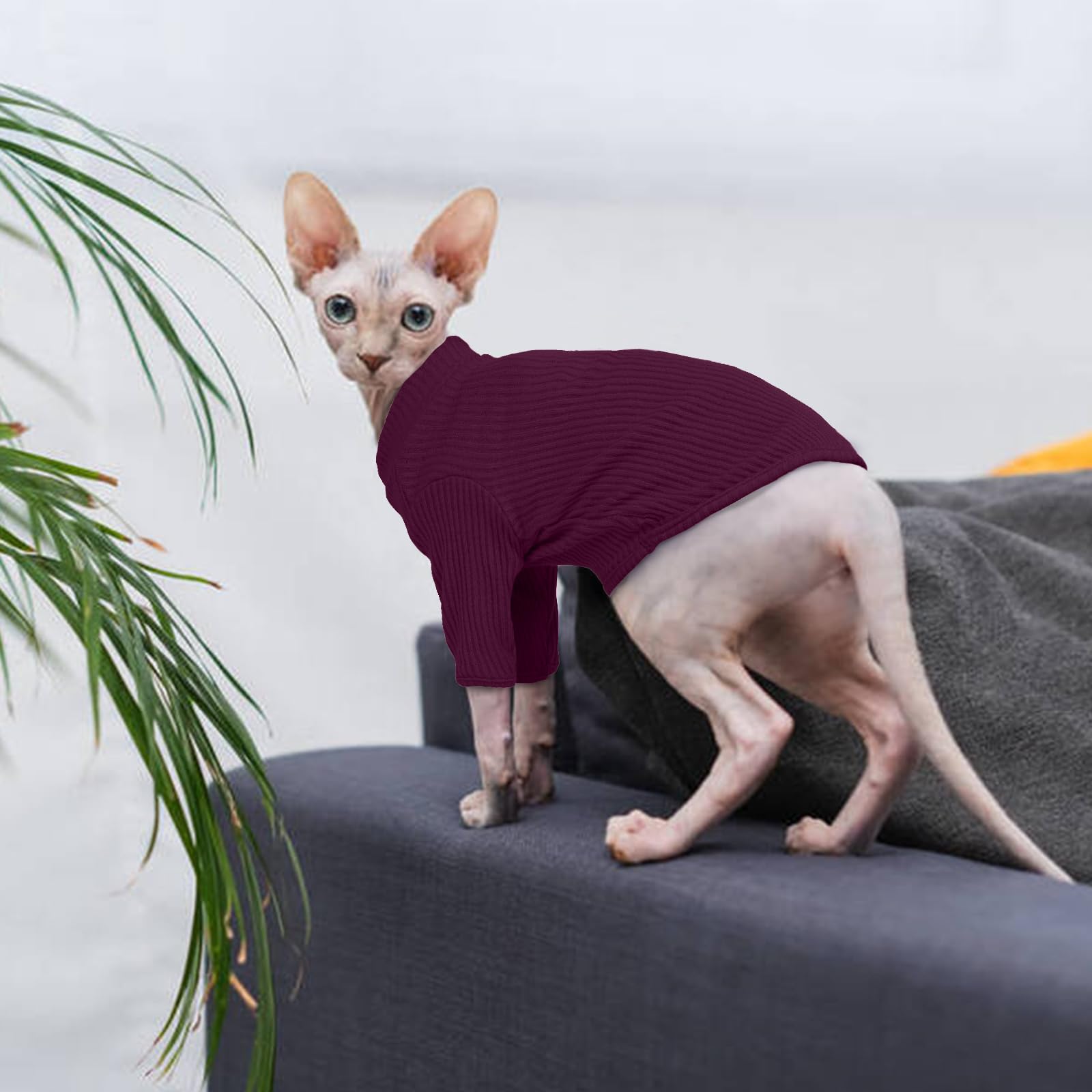 Hairless Cat Sweater，Sphynx Cat Clothes，Kitten Clothes，Breathable Sweaters Cats, Kitten Pullover w/ Sleeves, Cat Jumpers Cats Only，Cat Clothes Sphynx，Cornish Rex，Devon Rex -L，PurpleRed — view 5