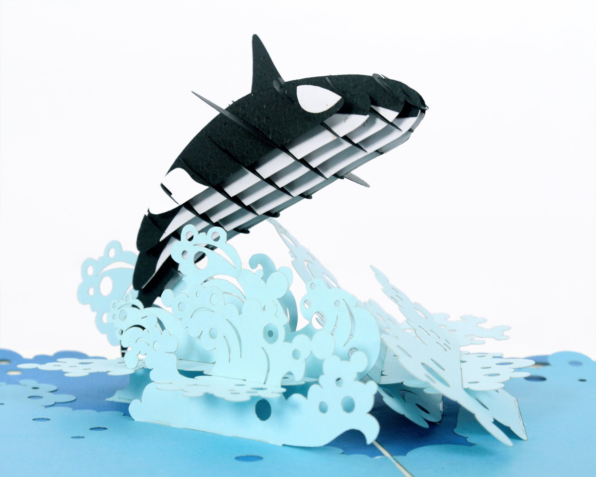 CUTPOPUP Orca Whale - Nephew Birthday Card, Birthday Cards for Men, Birthday Cards for Women, Daughter, Son, Kids, Nephew, Niece, Mothers Day Card, Kids, Teenager UK