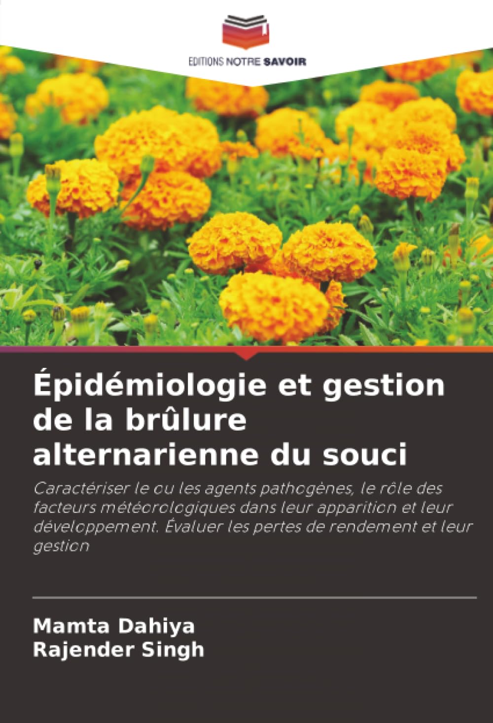 Épidémiologie et gestion de la brûlure alternarienne du souci: Caractériser le ou les agents pathogènes, le rôle des facteurs météorologiques dans ... les pertes de rendement et leur gestion