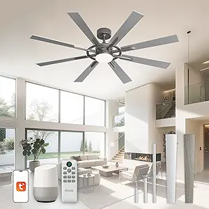 60 Inch Smart Ceiling Fan with Lights and Remote, Silver Indoor/Outdoor