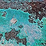 sponsor schweizer cup  Sponsoring Doom