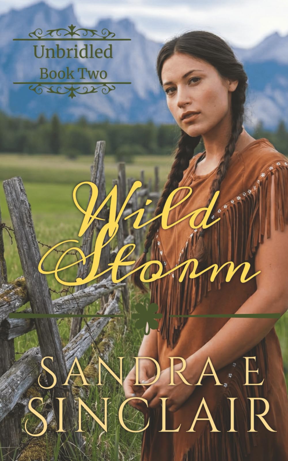 Wild Storm: 2 (The Unbridled Series)