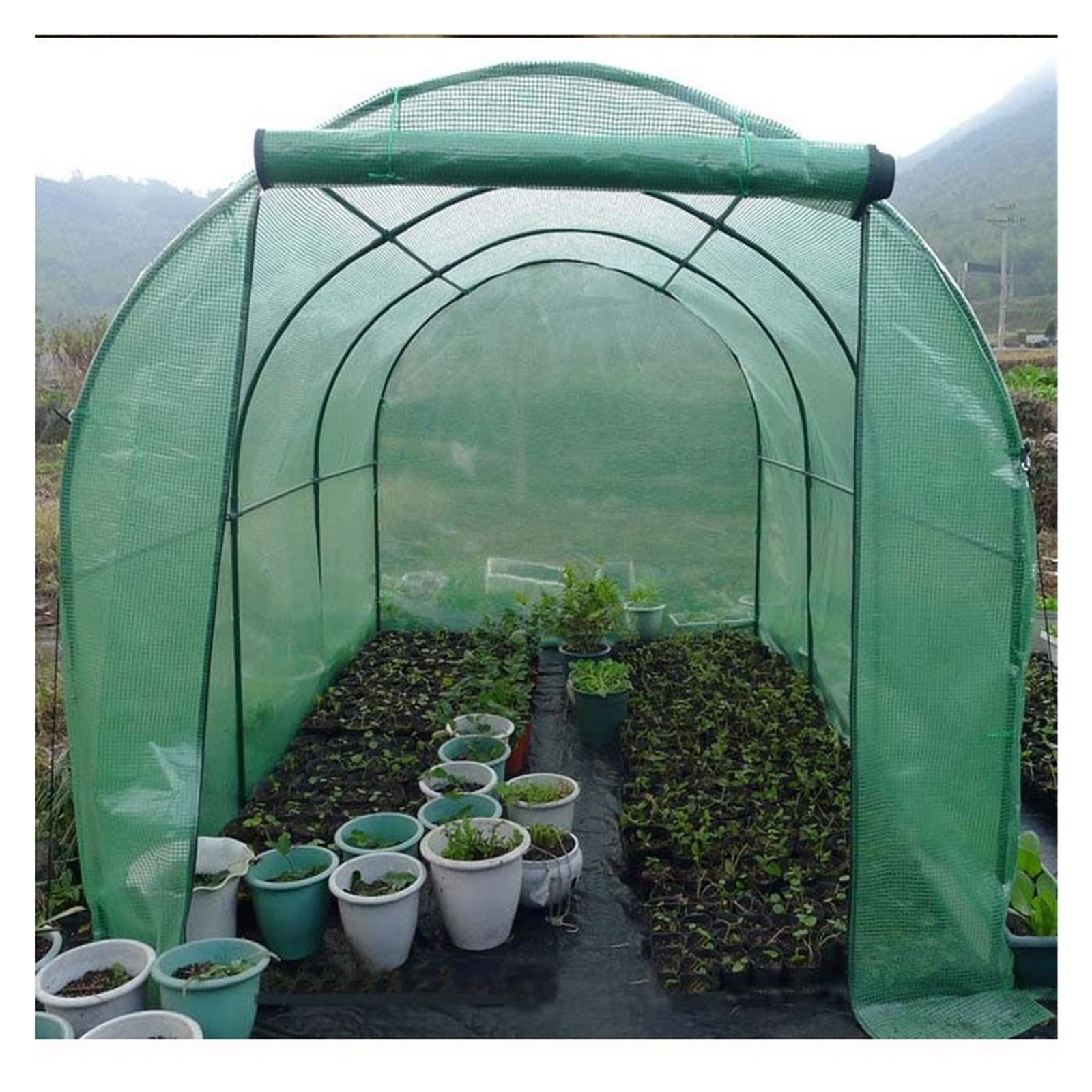 serra balcone esterno Grande Serre Polytunnel per esterni Per uso intensivo, Giardinaggio all'aperto Case verdi Casa di coltivazione con robusto telaio in acciaio per la casa calda per pomodori ( Size