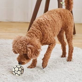 サッカーボール型　愛犬の家　総ヒノキ造り　直径約80Cm位　犬小屋　木製 サッカーボール型 愛犬の家 総ヒノキ造り 直径約80Cm位 犬小屋 木製