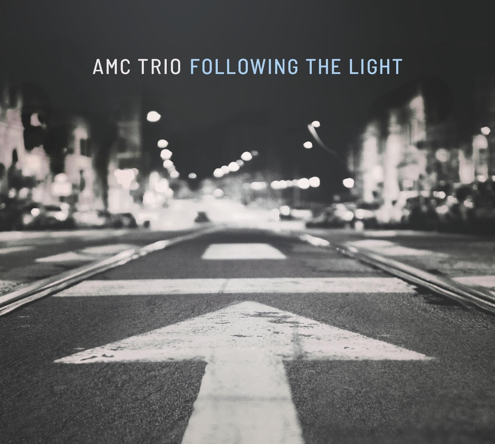 Following the Light [VINYL]