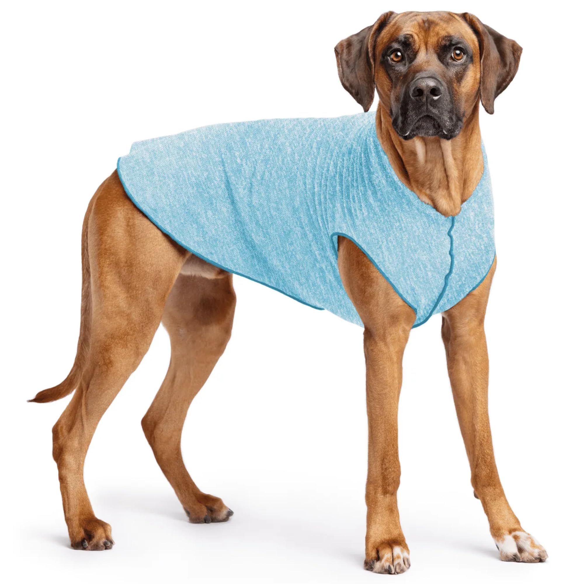 Gold Paw Sun Shield Dog Tee – T-Shirt for Canines – UV Protection