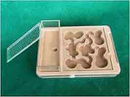 Amazon | ペットマニアワークショップ アリ飼育セット 石膏製