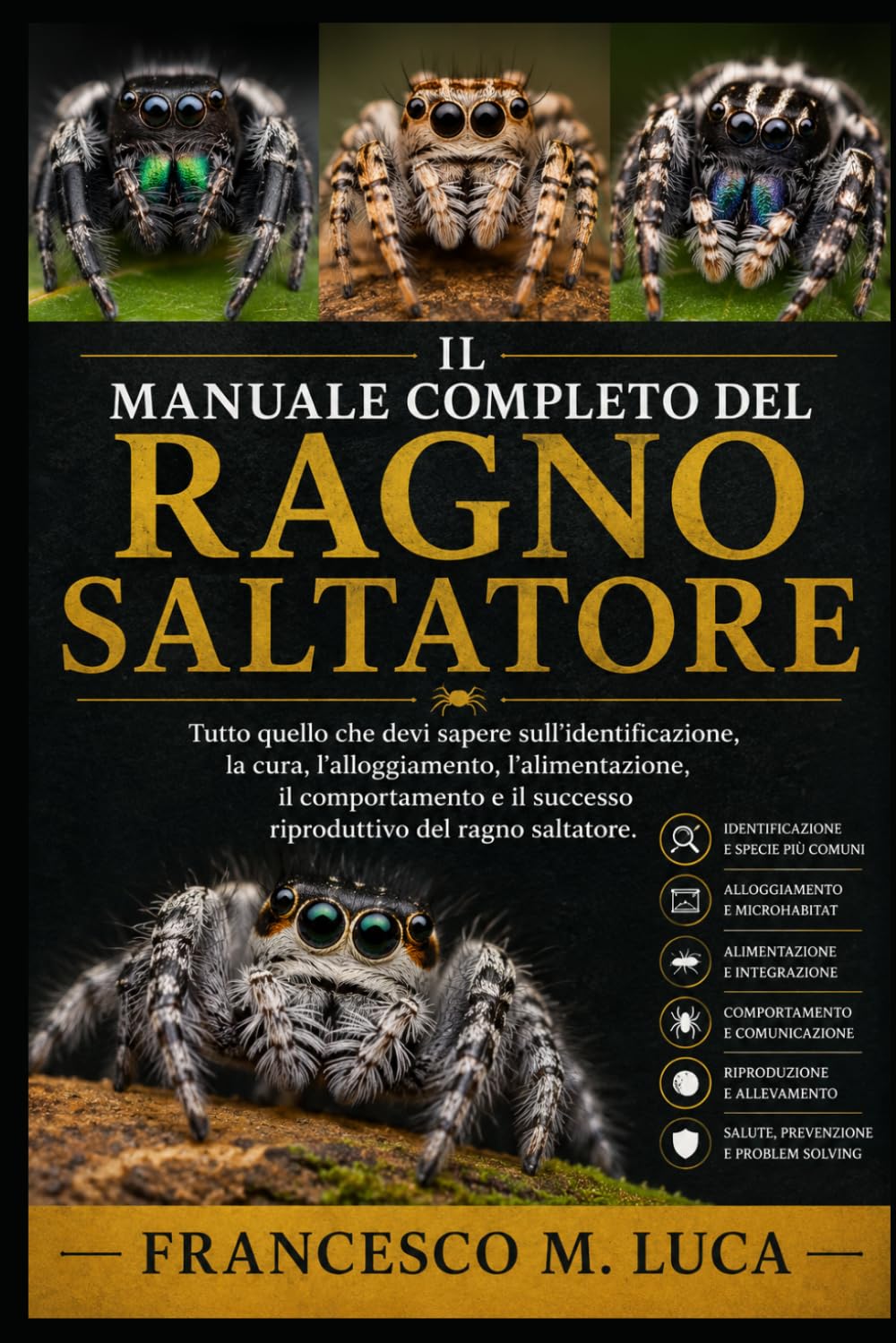 IL MANUALE COMPLETO DEL RAGNO SALTATORE: Tutto quello che devi sapere sull'identificazione, la cura, l'alloggiamento, l'alimentazione, il comportamento e il successo riproduttivo del ragno saltatore.