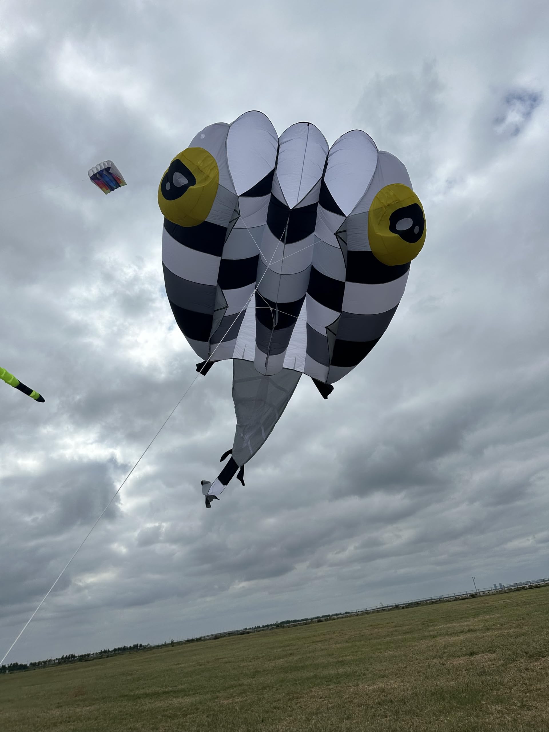 13 SQ.M Mosaic Tadpole Kite for Adults Ripstop Nylon Show Pilot Lifter Kite (Blue)