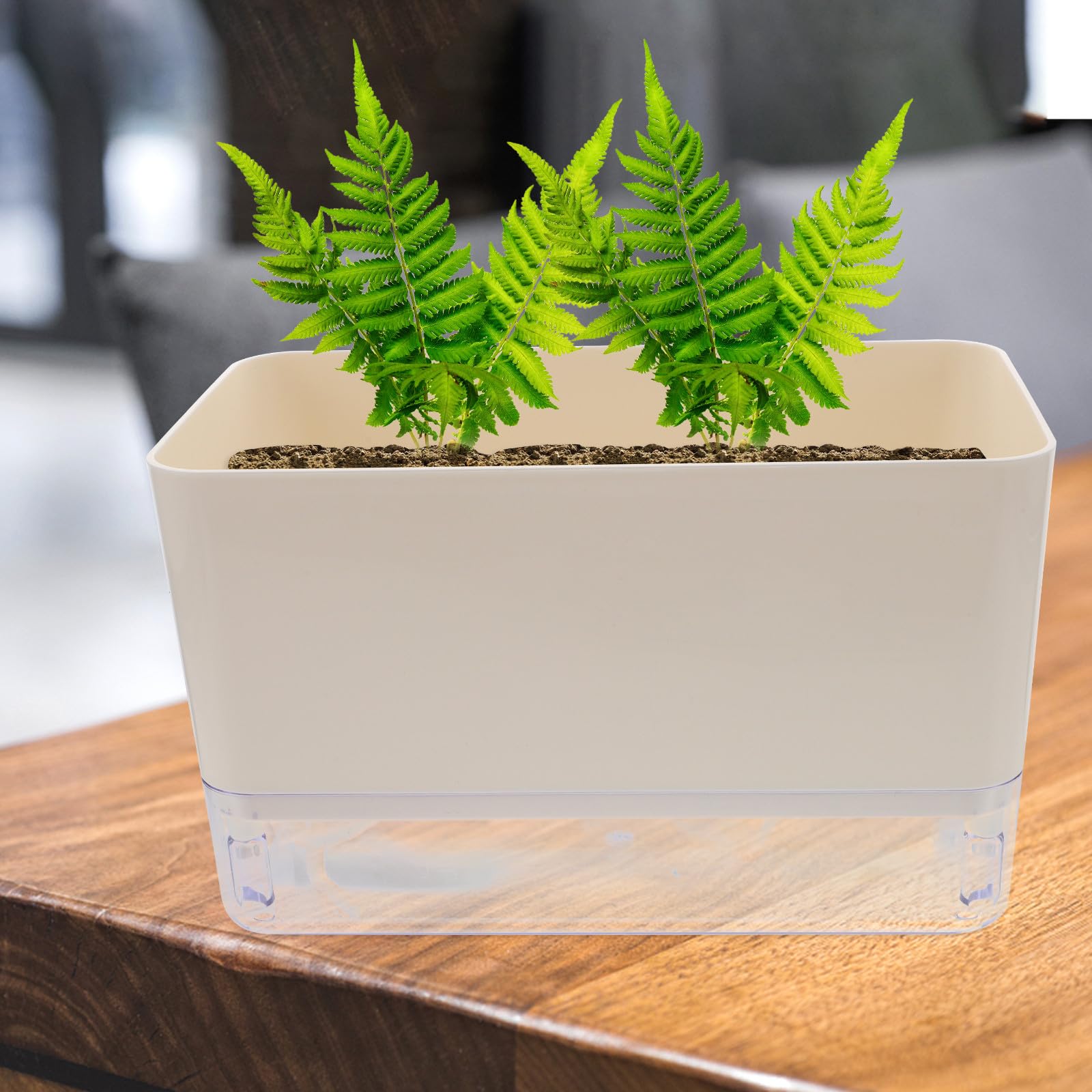 SHINEOFI Récipient à Arrosage Automatique pour Plantes D'intérieur Corde D'irrigation, Pot en Plastique Blanc sans Risque de Casse, Adapté pour Usage Intérieur et Extérieur